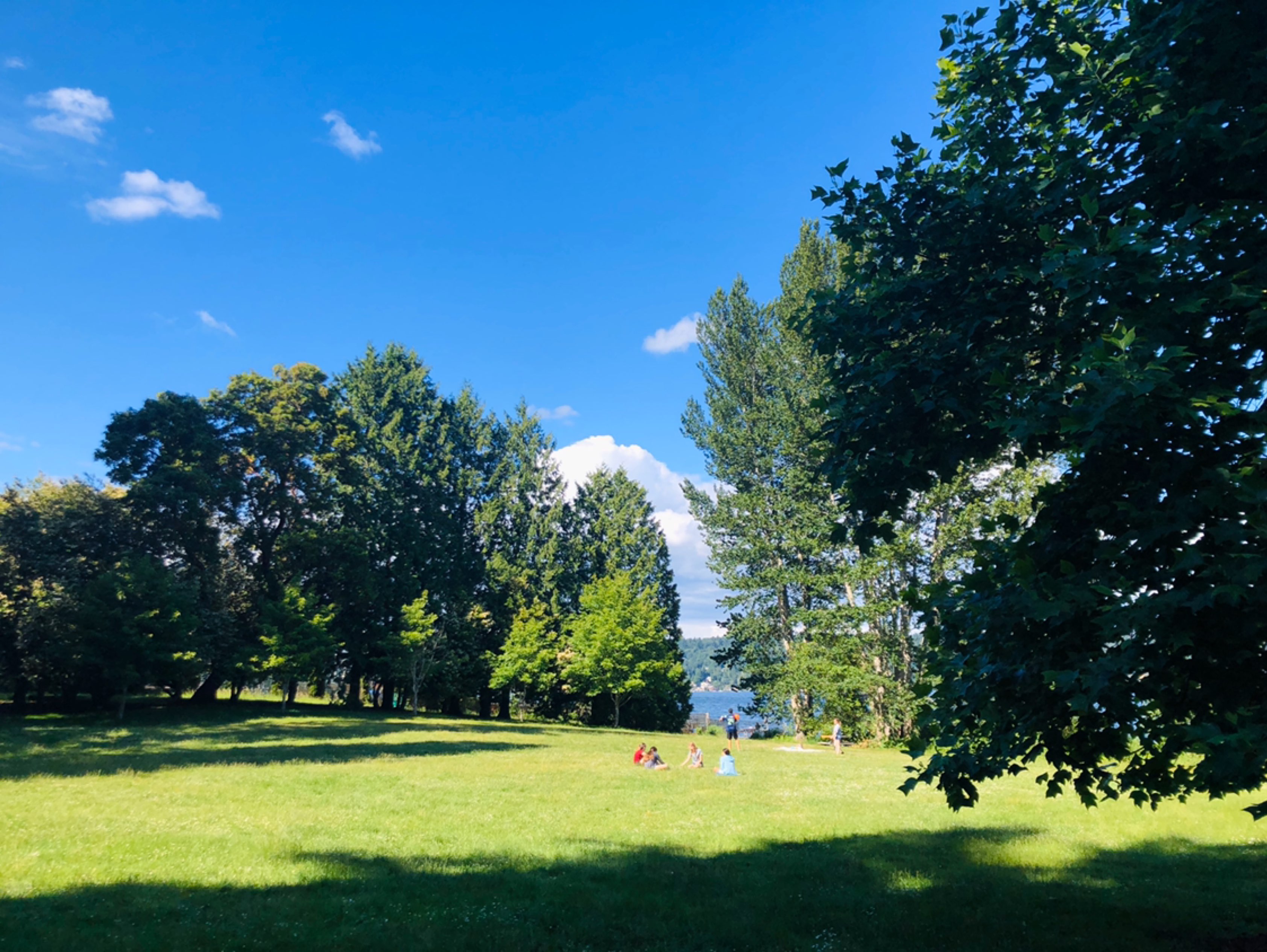 howlovely☀️小公园草坪上的画面大概就是隔离日子里"岁月静好"