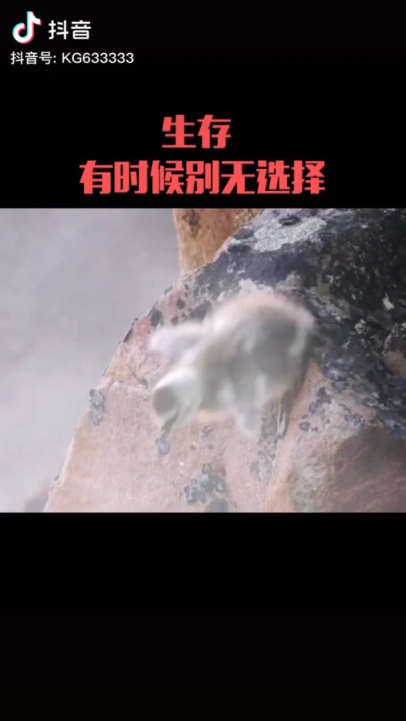 自强不息,自生自灭