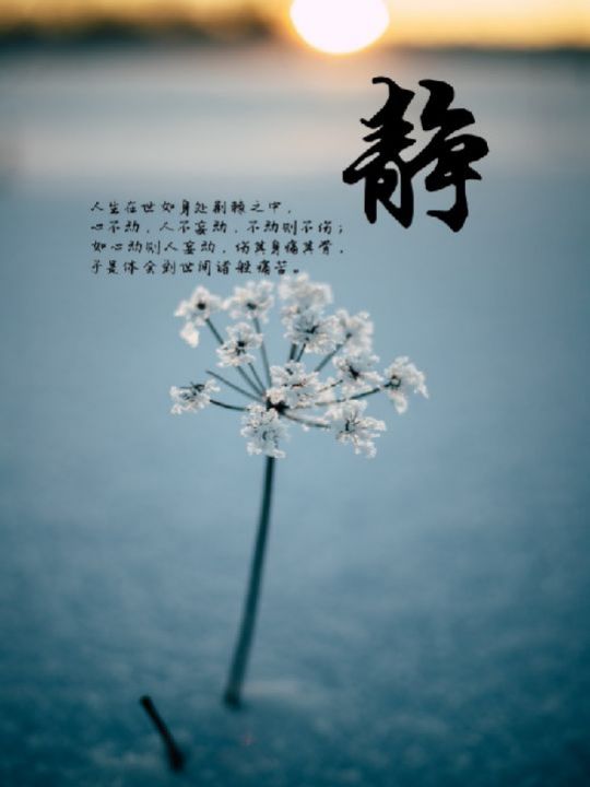 往后余生,顺其自然,静而不争,这就是一种实实在在的幸福!