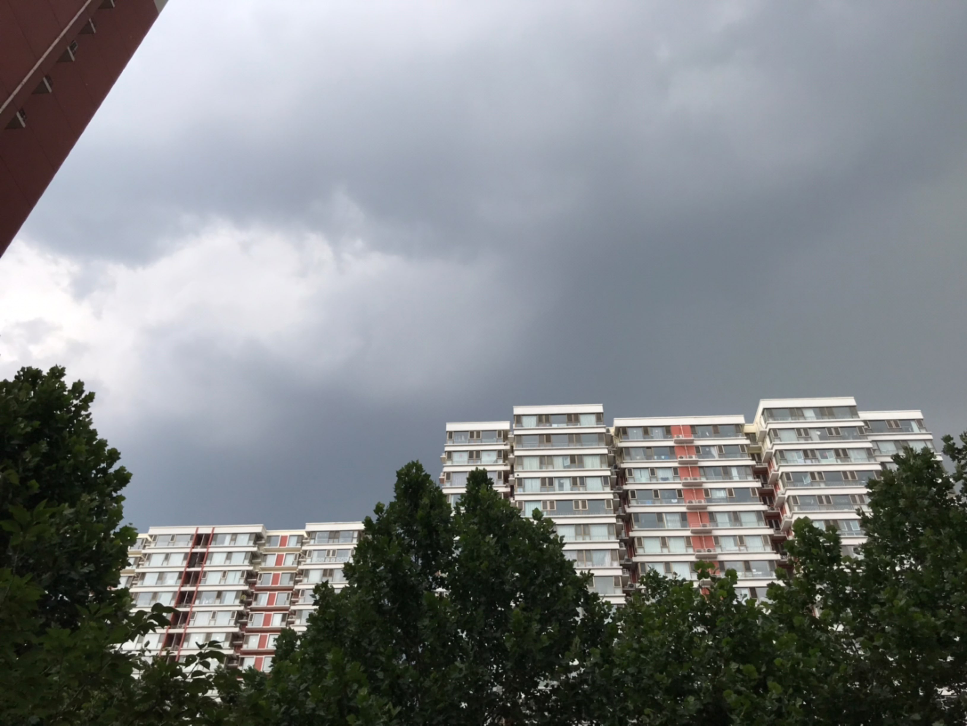 差点被淋「图片摄于下雨前一分钟」