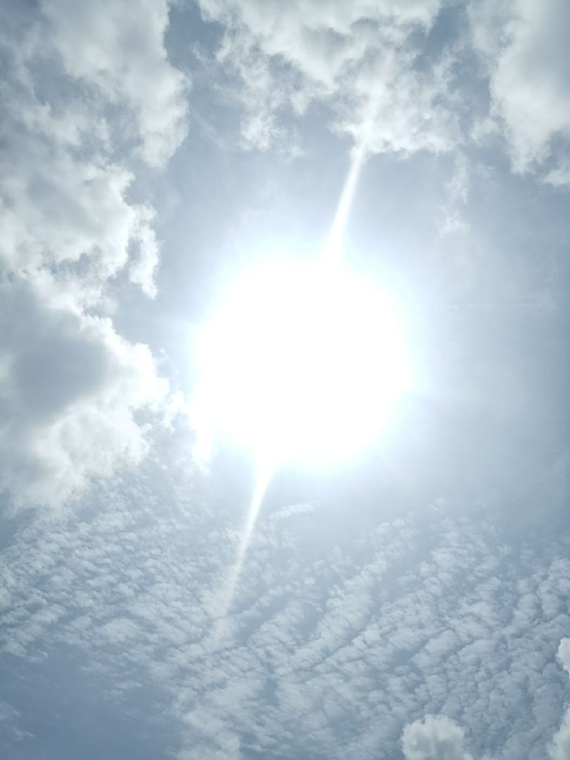 实在不想顶着大太阳,没办法