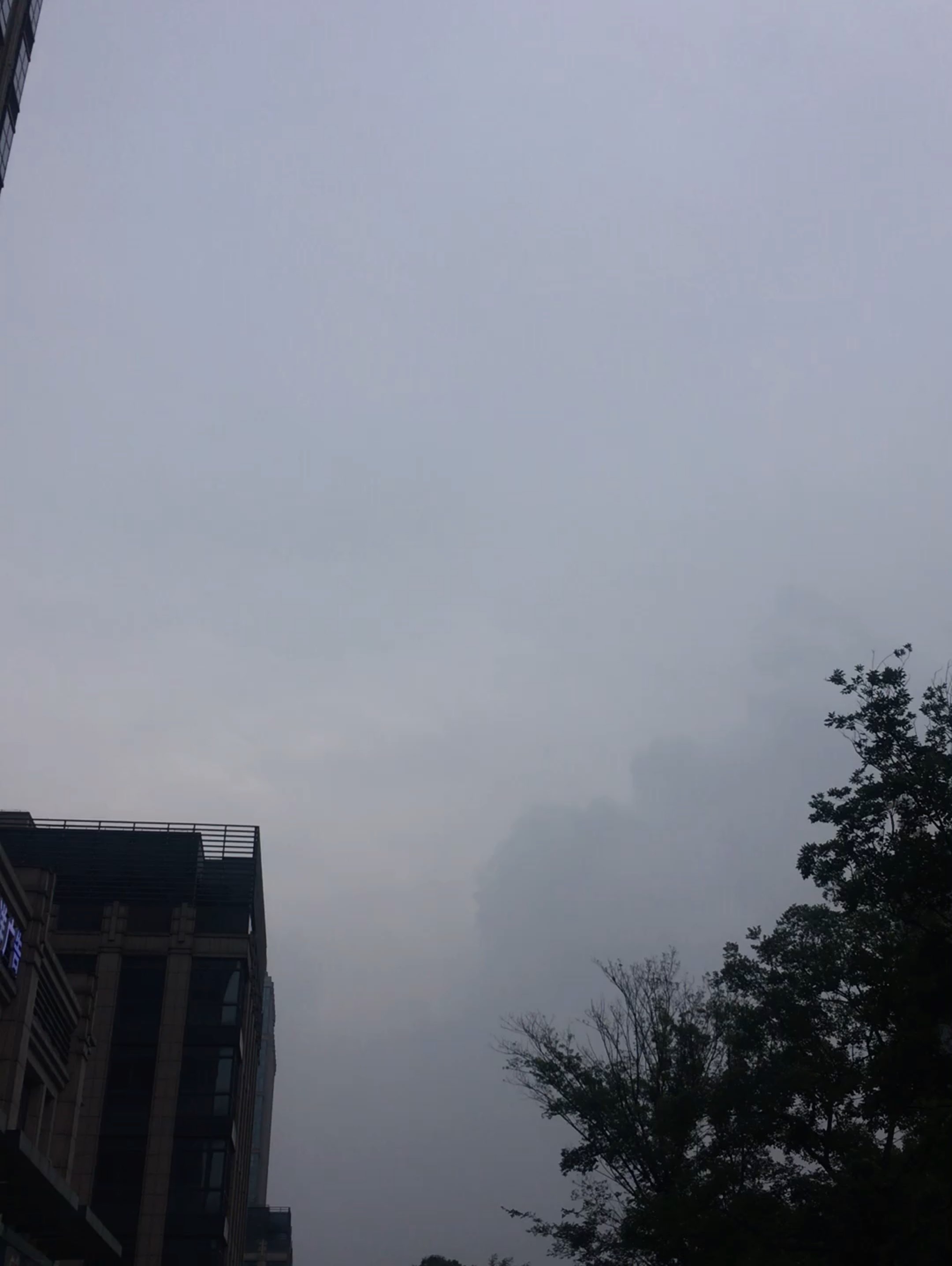 灰蒙蒙的天儿[doge]