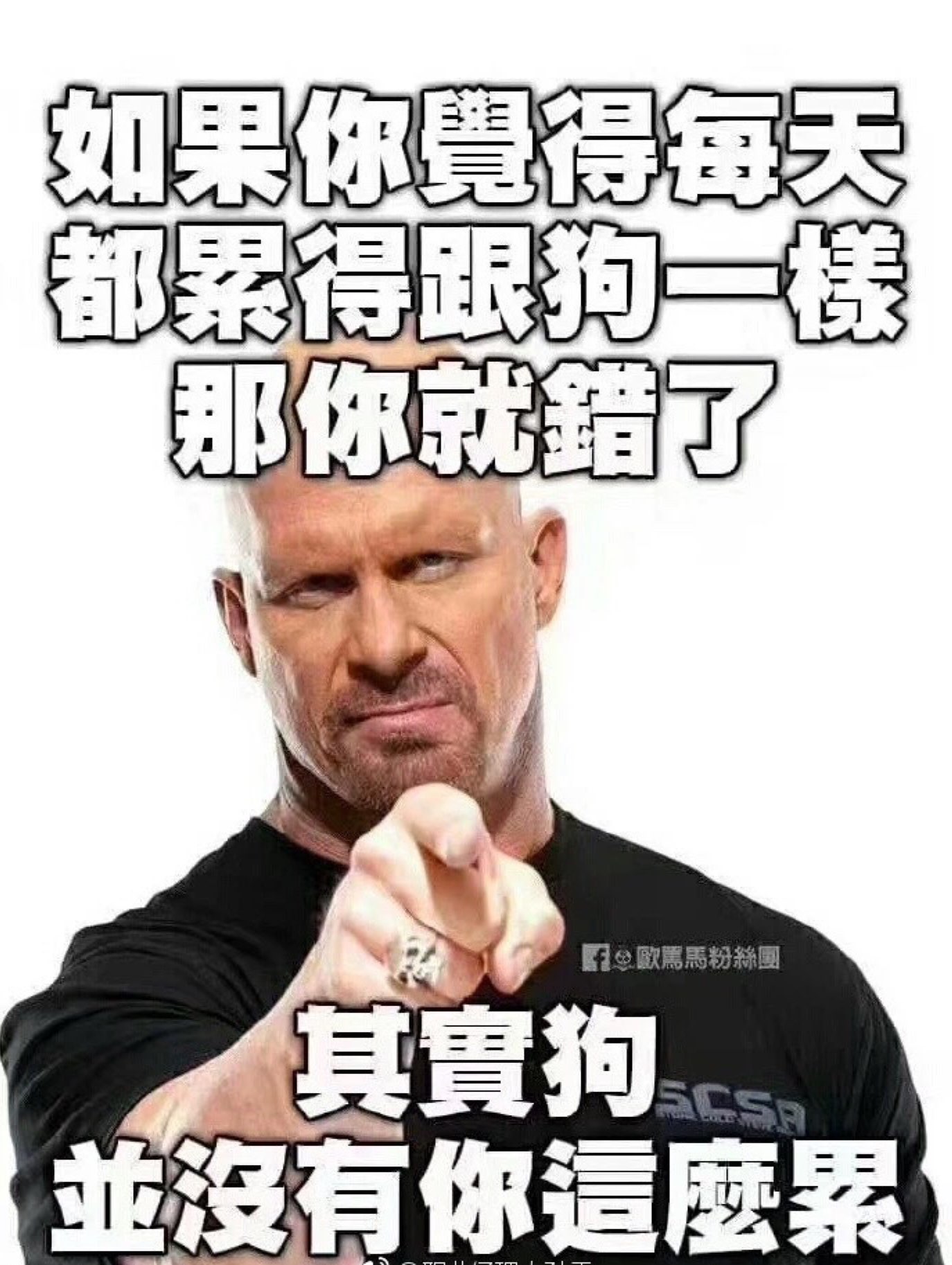 努力不一定是要让自己牛气哄哄而是通过努力去实现自