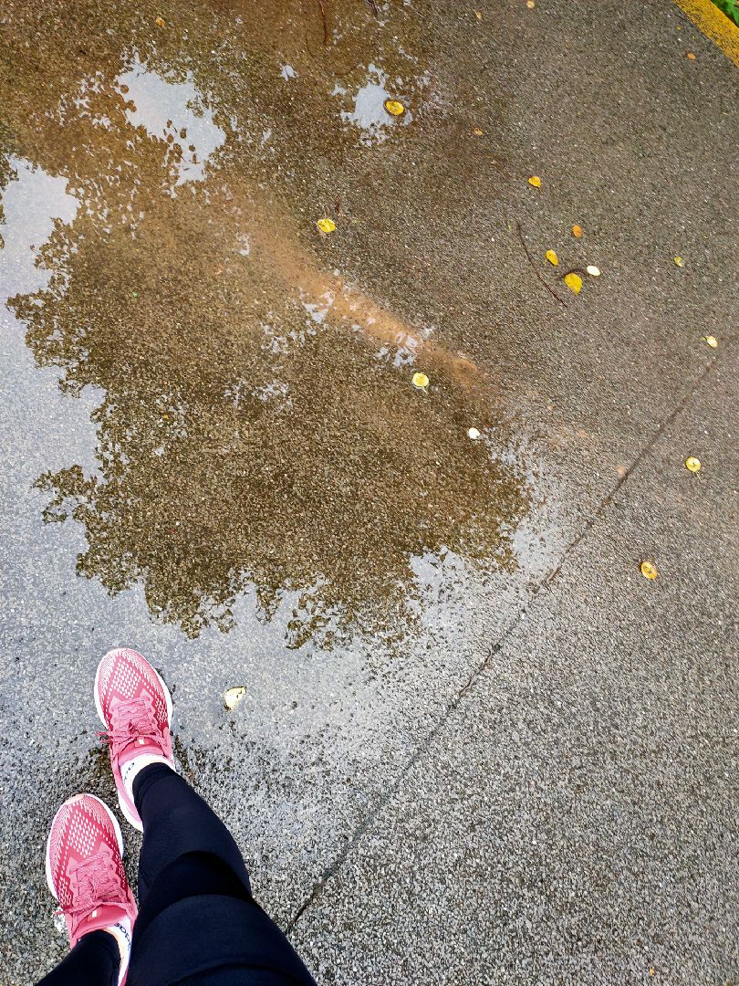 昨天被雨浇透今天新鞋磨合
