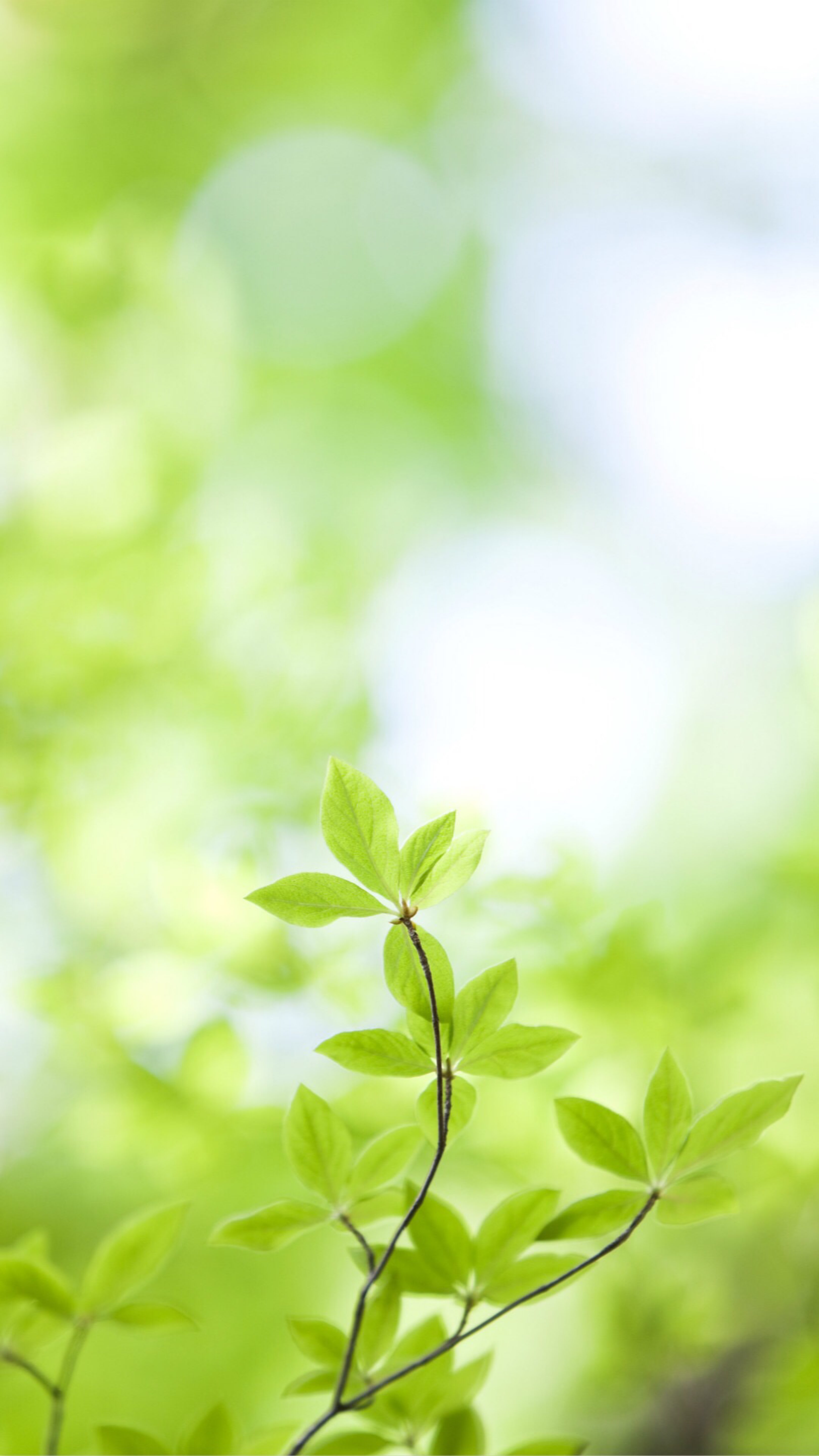 3240_5758竖版 竖屏