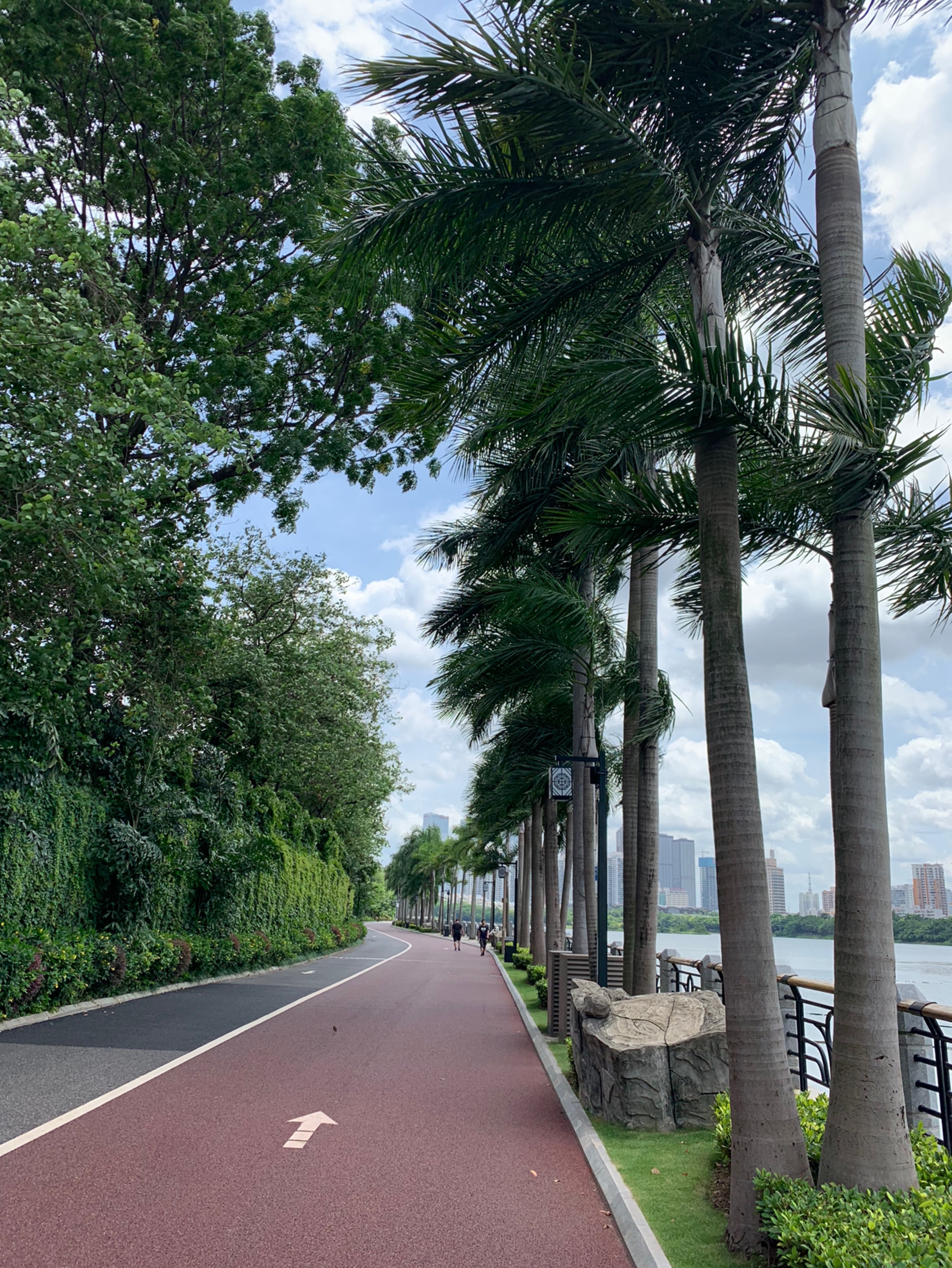 烈日炎炎,跑南湖