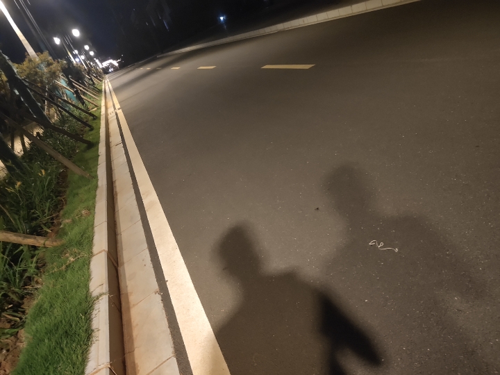 话说夜跑的人有点孤独,只有路灯和影子陪着