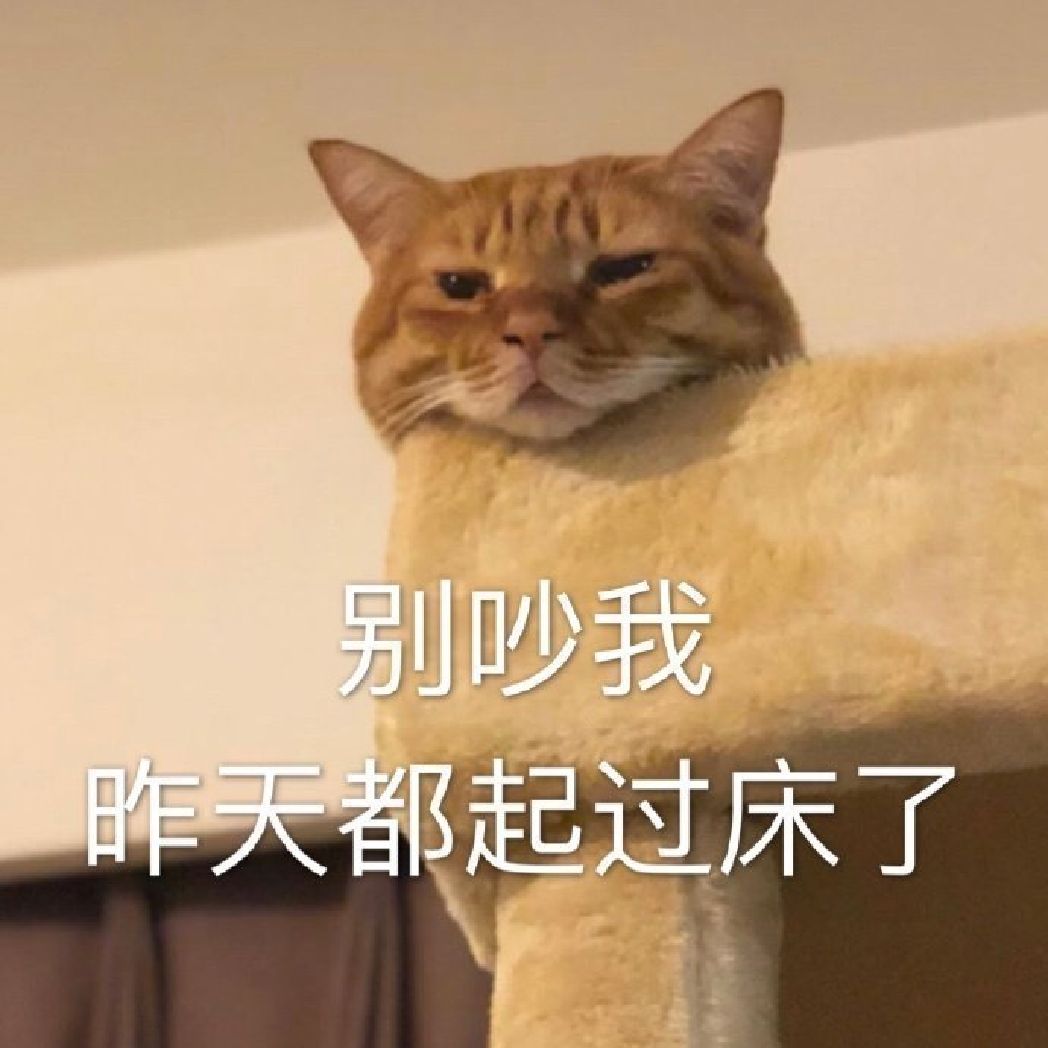 计划  第2/7日打卡,用时45分钟  女生小哑铃塑形 · 胸肩进阶  strong