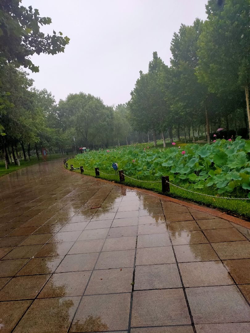 雨中散步 心情不错哦