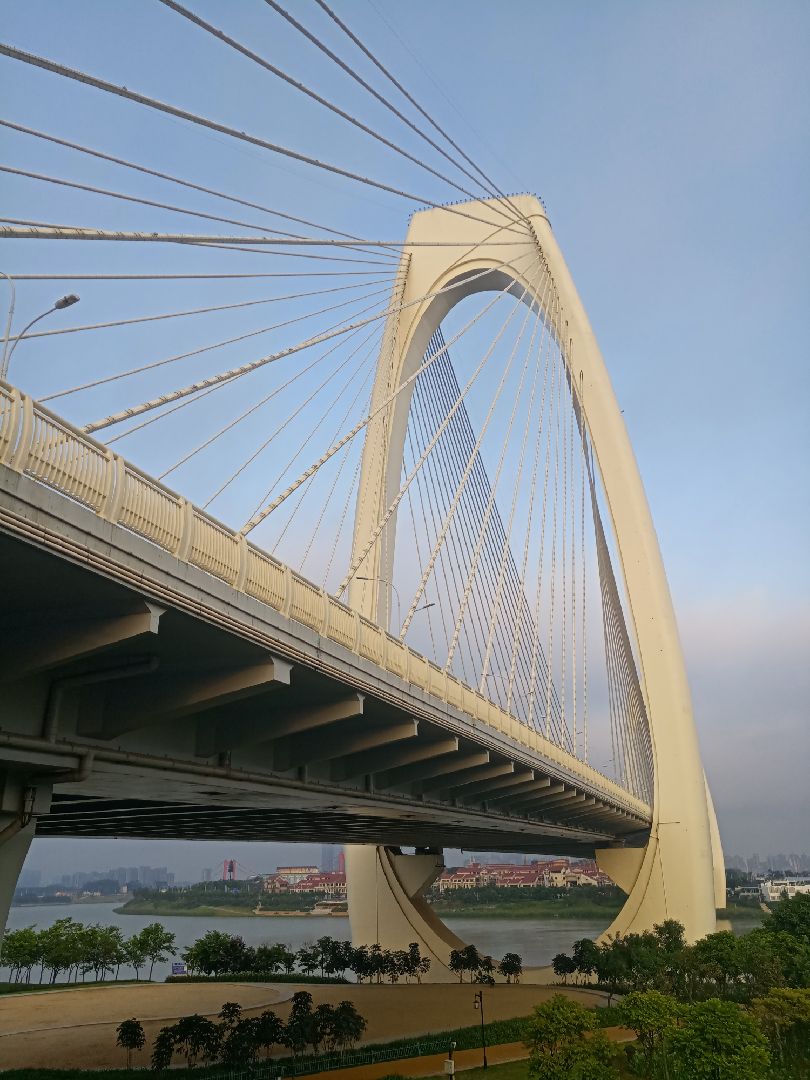 南宁市葫芦鼎大桥图片