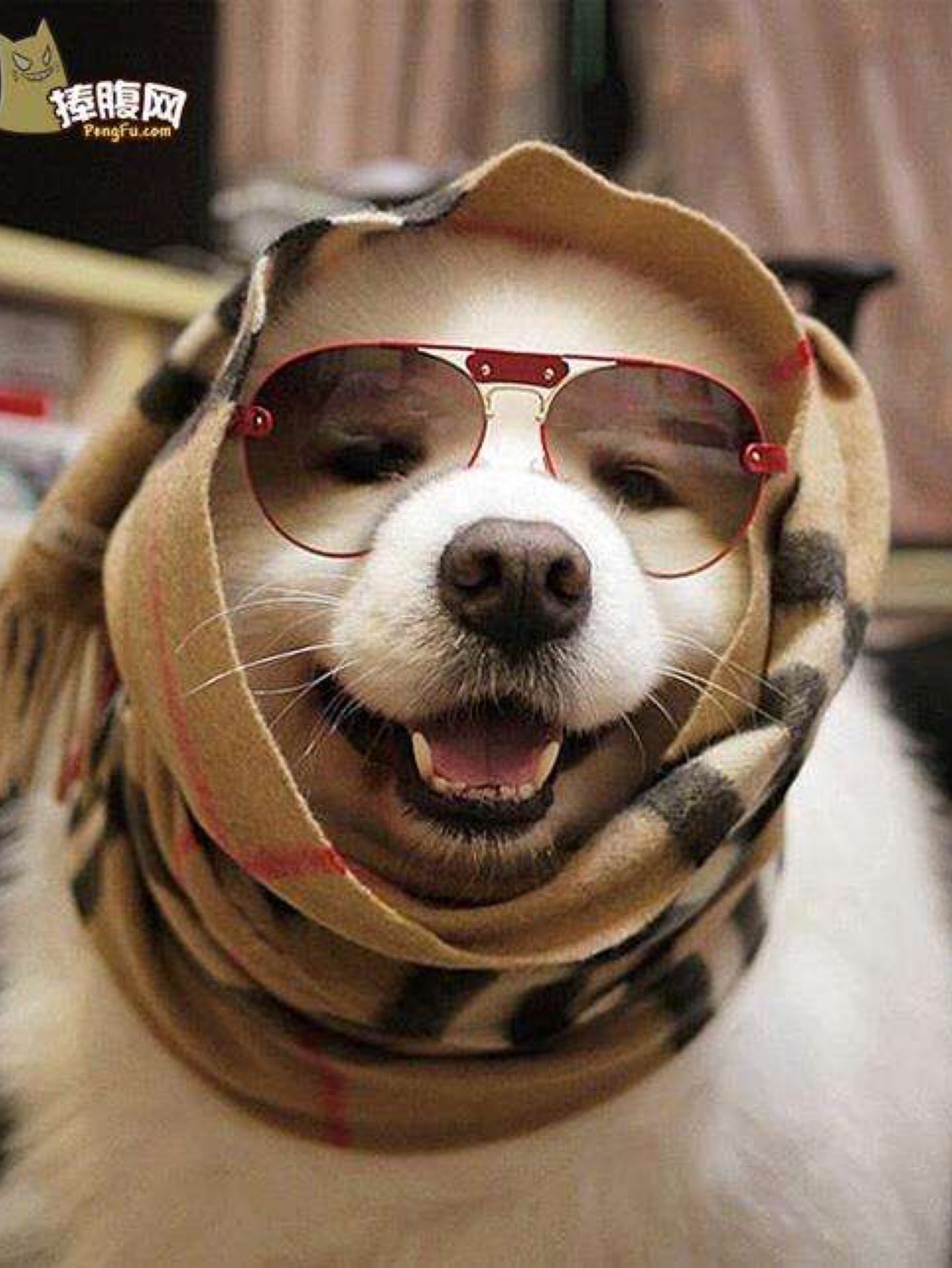 不错不错[doge]_keep