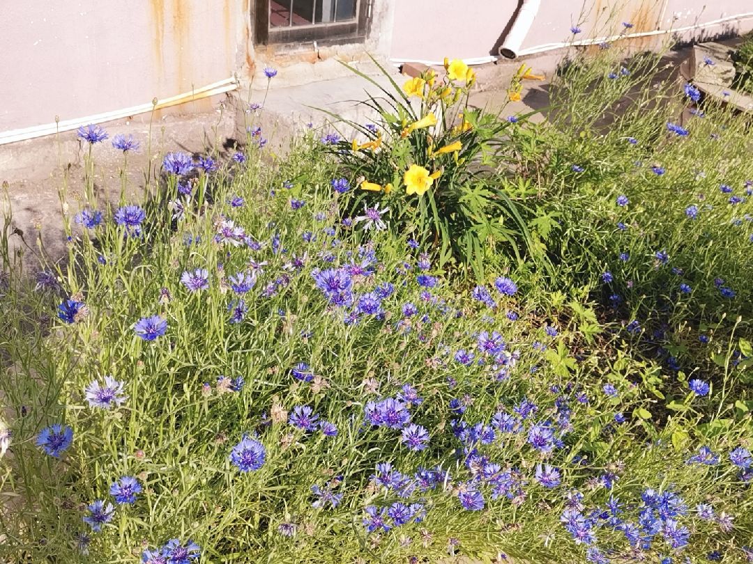 阳光雨露,雨润恩泽