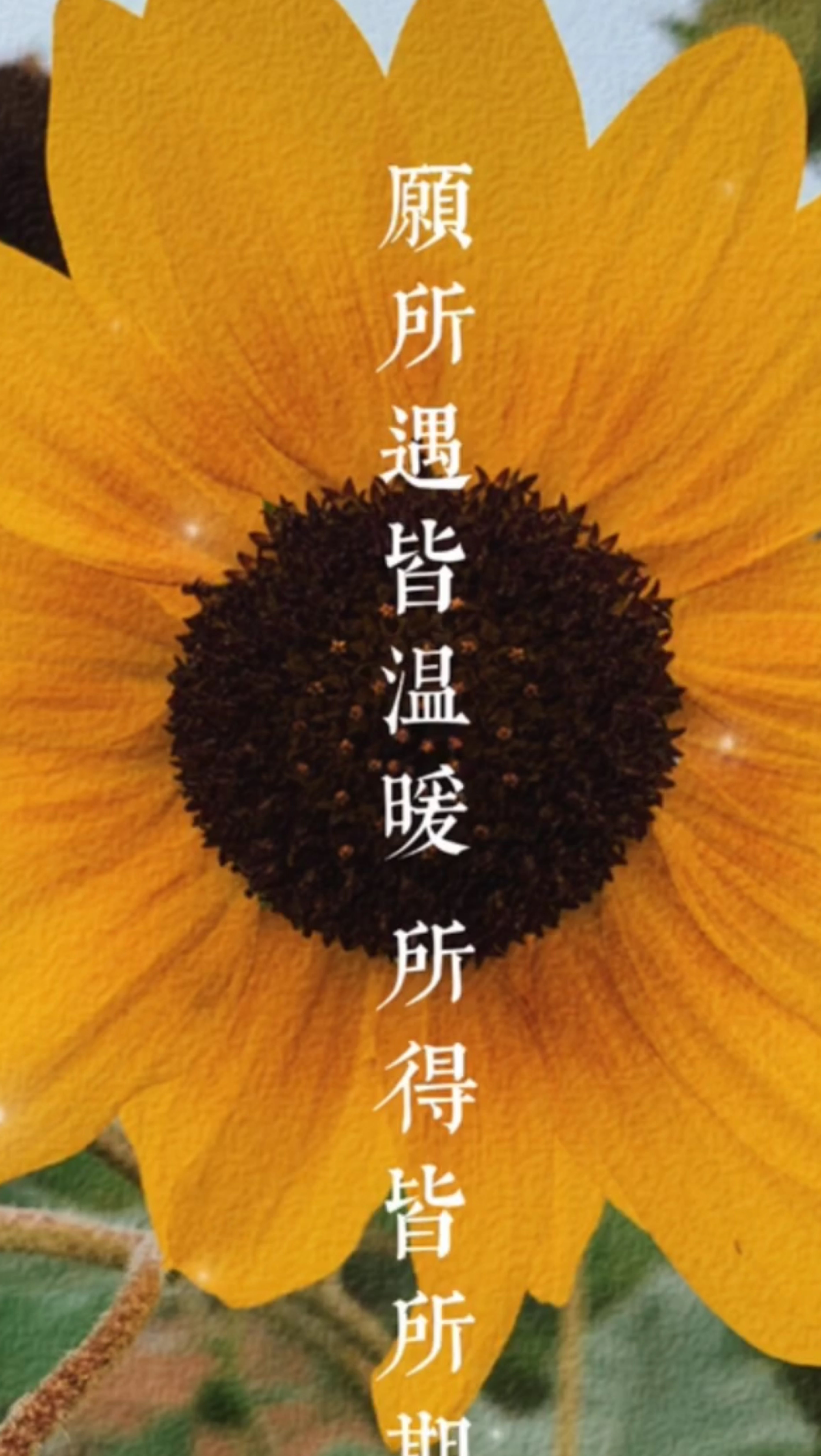 心里有光,何惧风霜!
