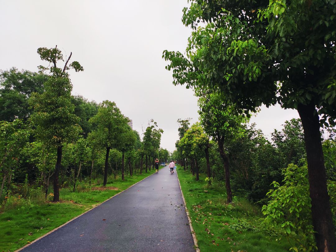 早安 又一個陰雨天的清晨 實在太適合跑步了~如果中途沒有下雨的話就