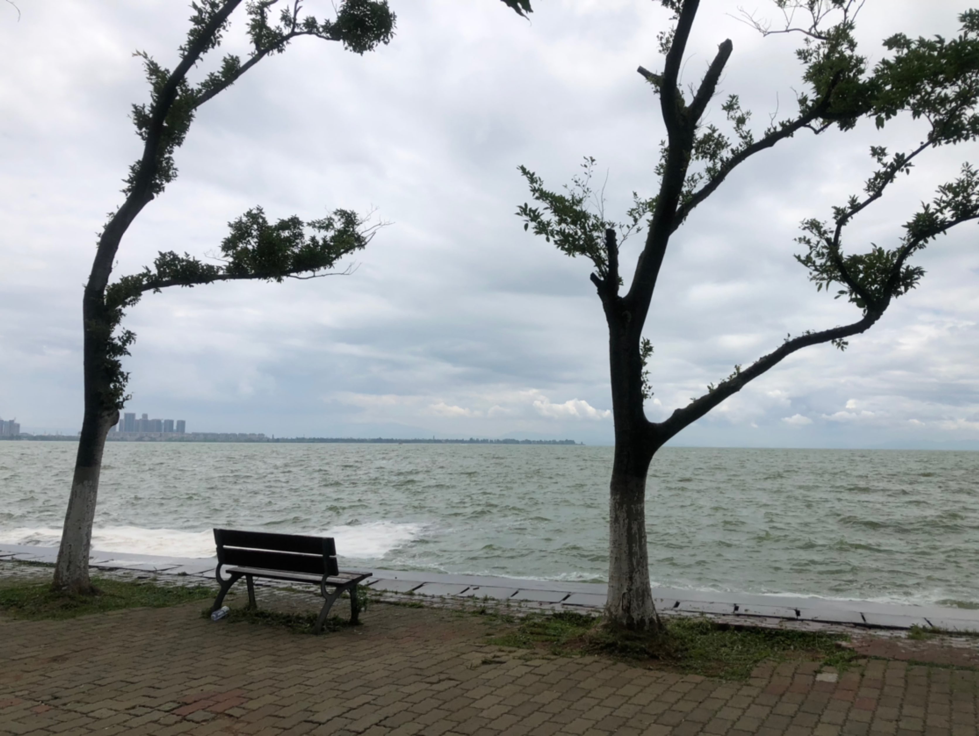 空山新雨后,天气晚来秋安逸,自在,舒服