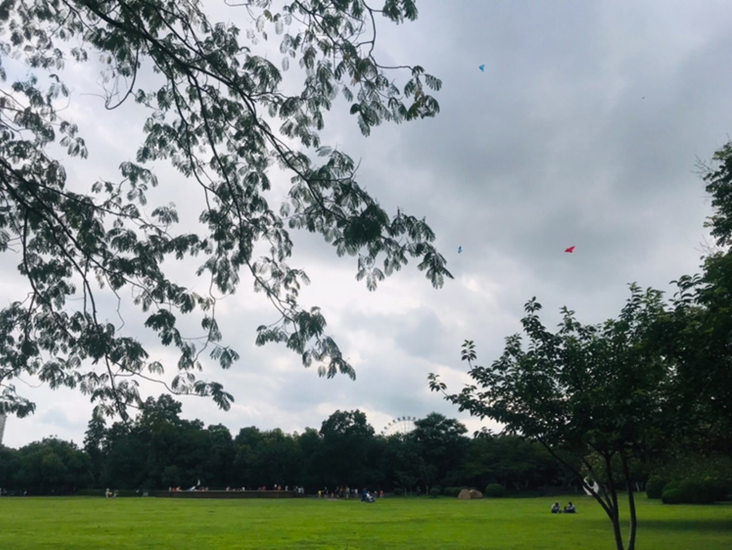 下午跑步,太陽暴曬,爽歪歪