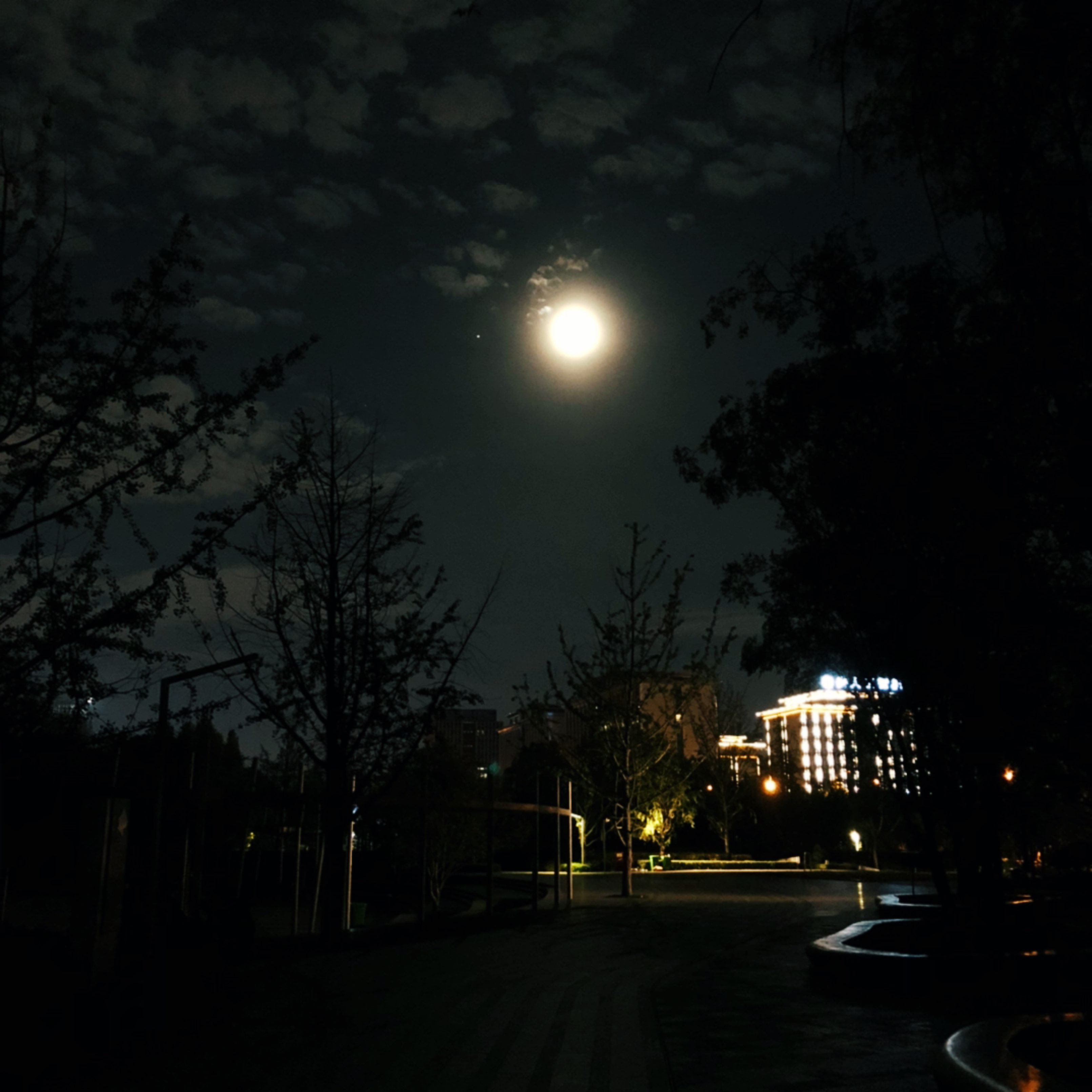 月圆之夜照片图片