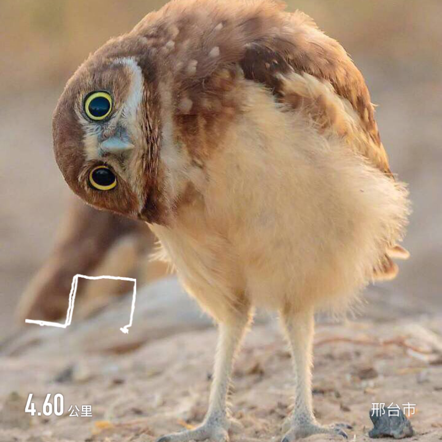 一种是复盘,从过去的经历中学习,因为经历过,所以