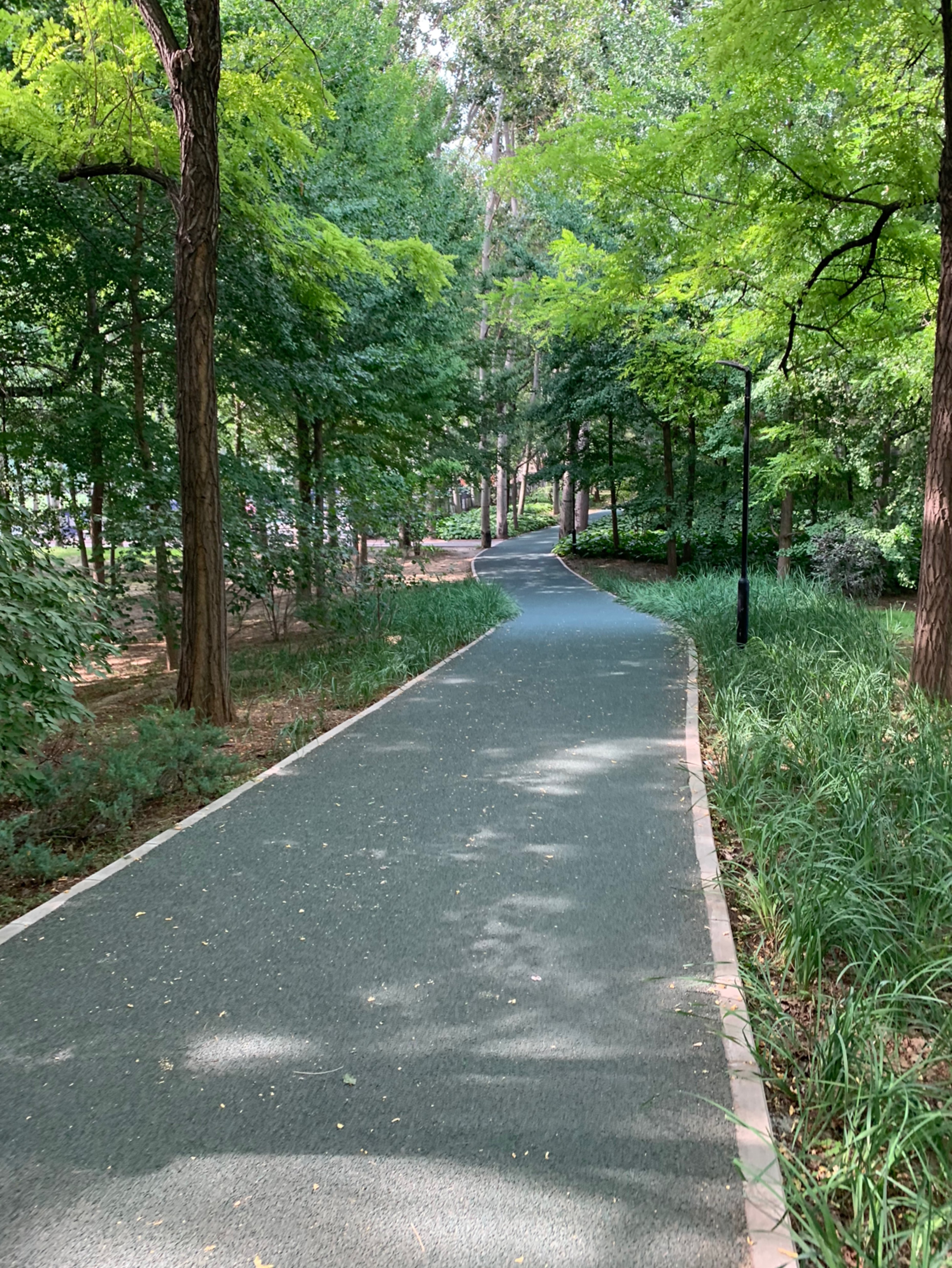 58公里, 39分25秒  参与 朝阳公园1.