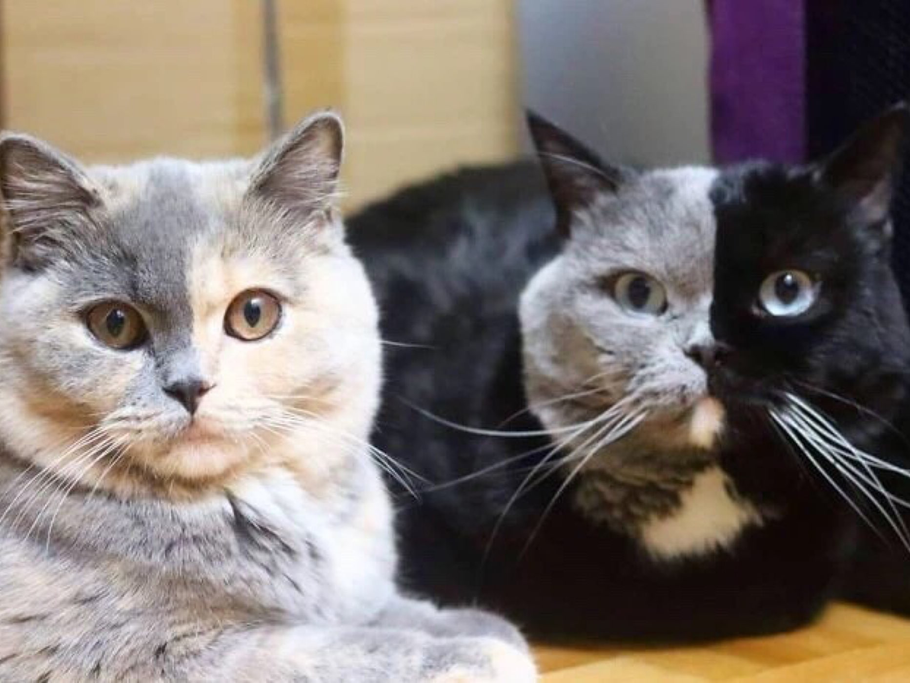  html lang="zh-hans" styl