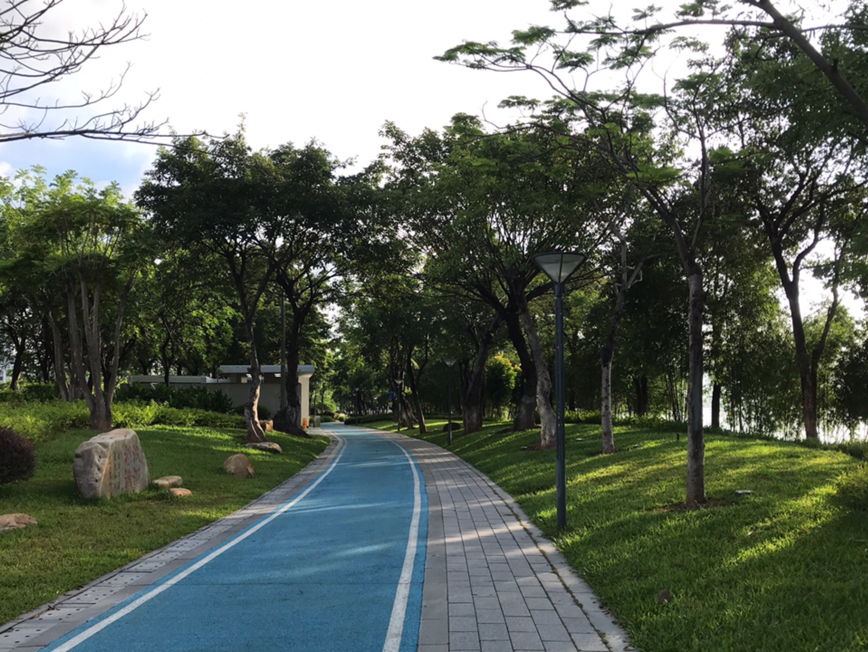 生物岛真是一个跑步圣地,环境优美,人烟稀少,环岛6.