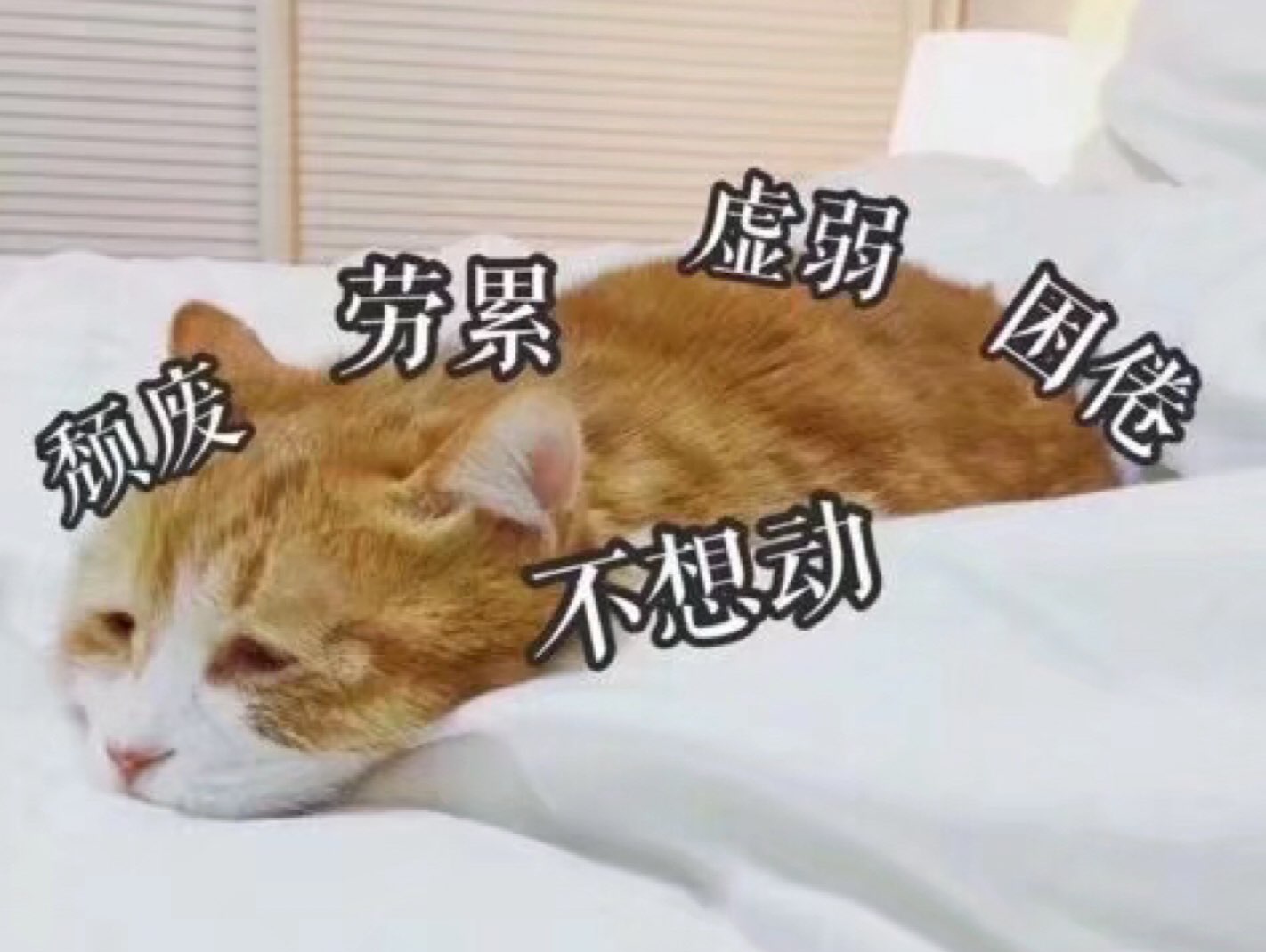 完成 蛙式拉伸 8分钟 不想动,来个蛙趴吧,晚安