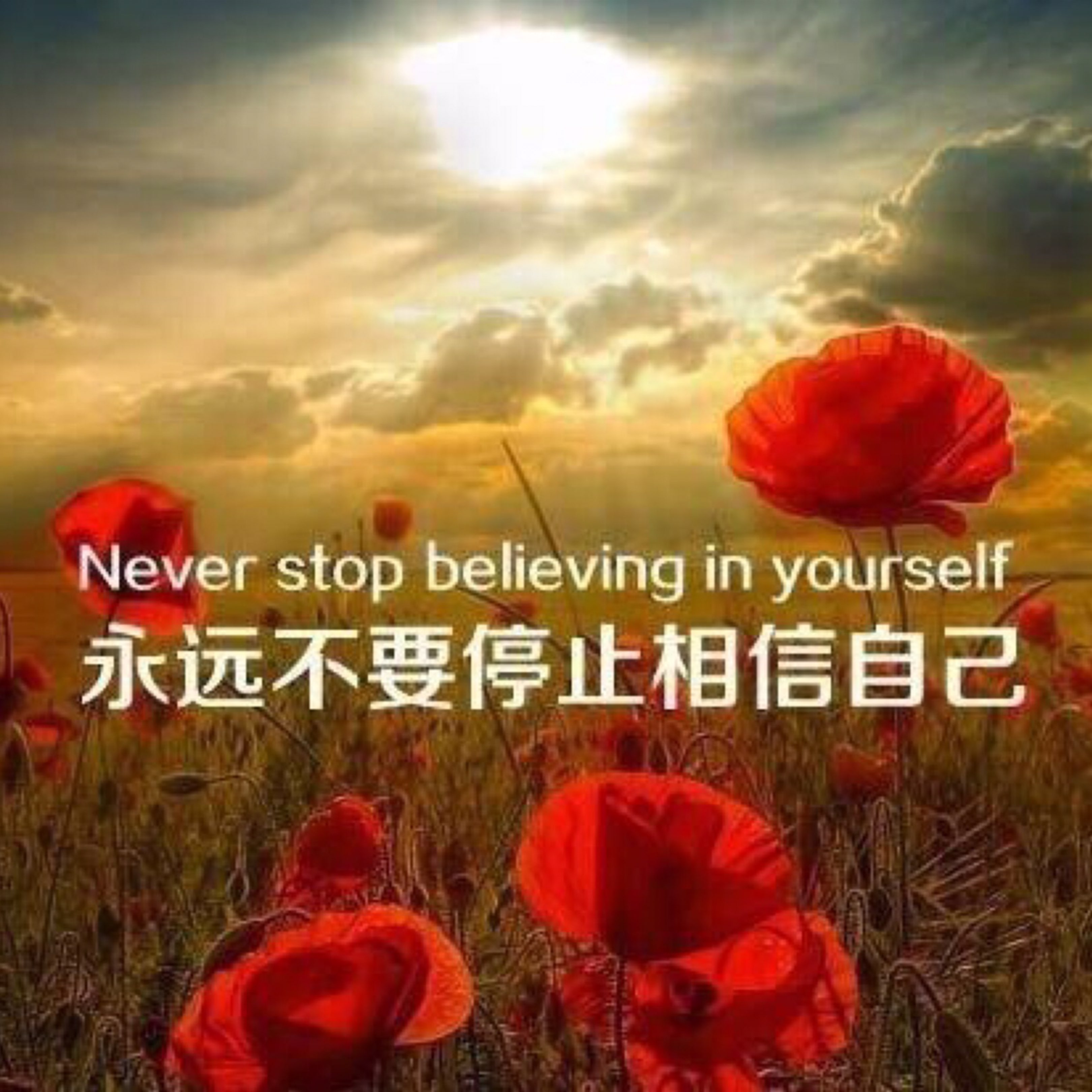 有一粒光的种子在你心里