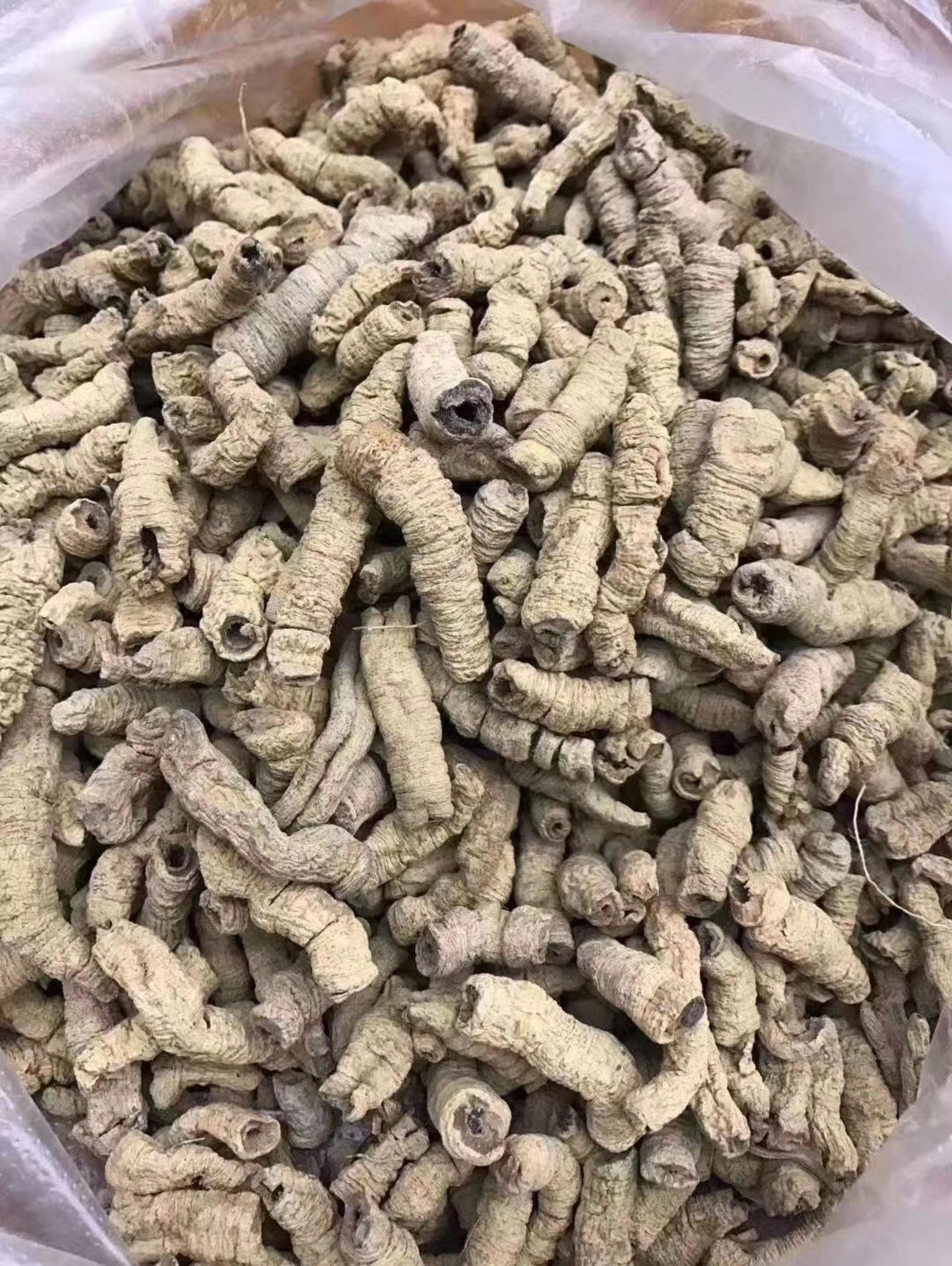 【巴戟天】具有补肾阳,强筋骨,祛风湿的功效.