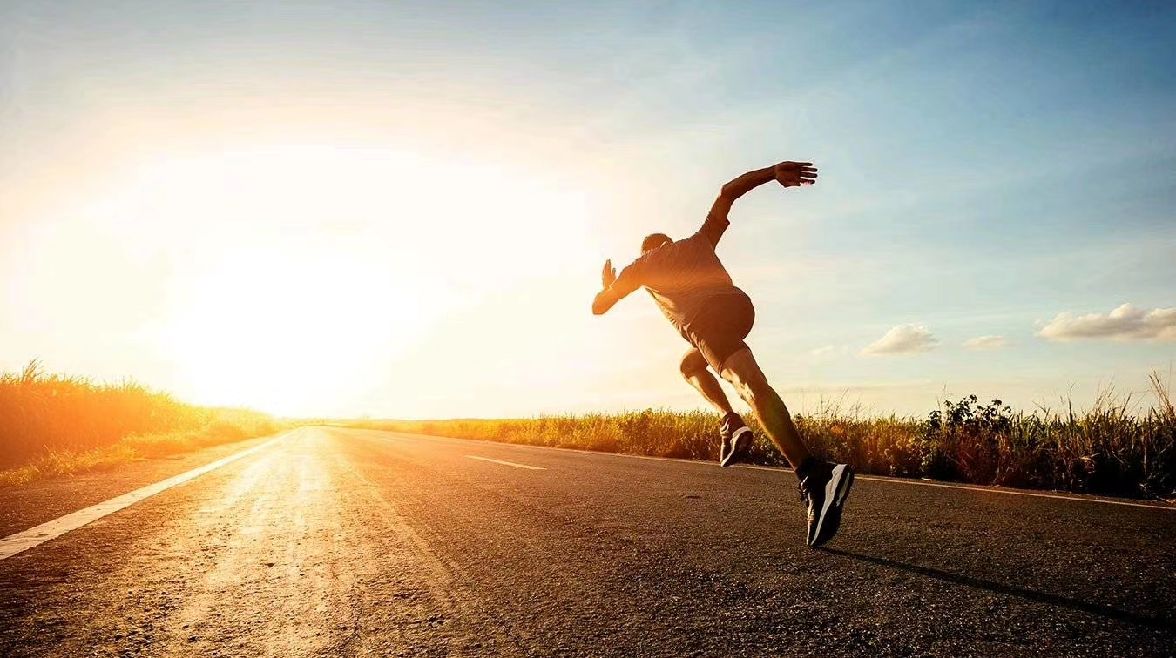 随风奔跑自由是方向