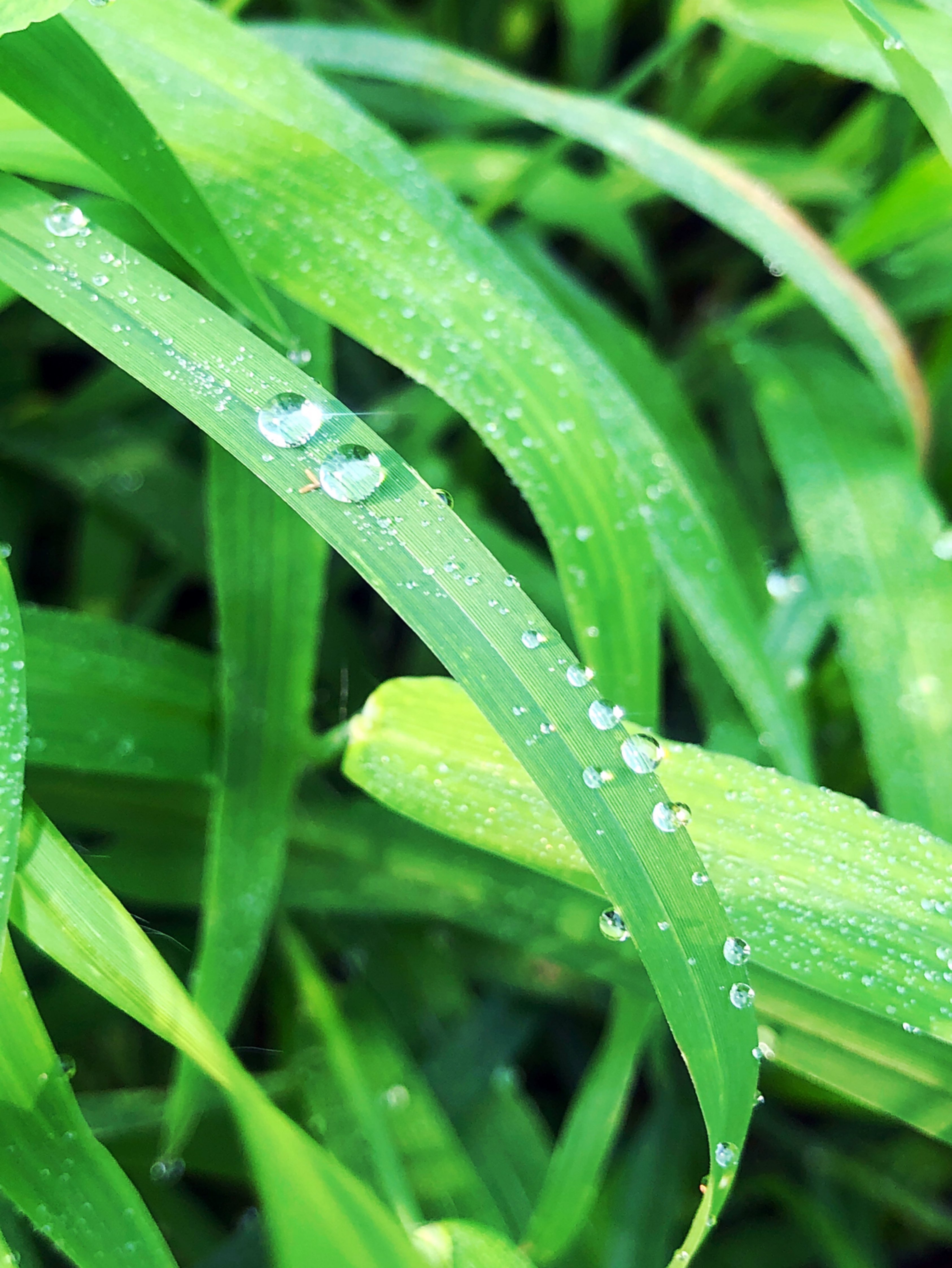 安静,凉爽的午后