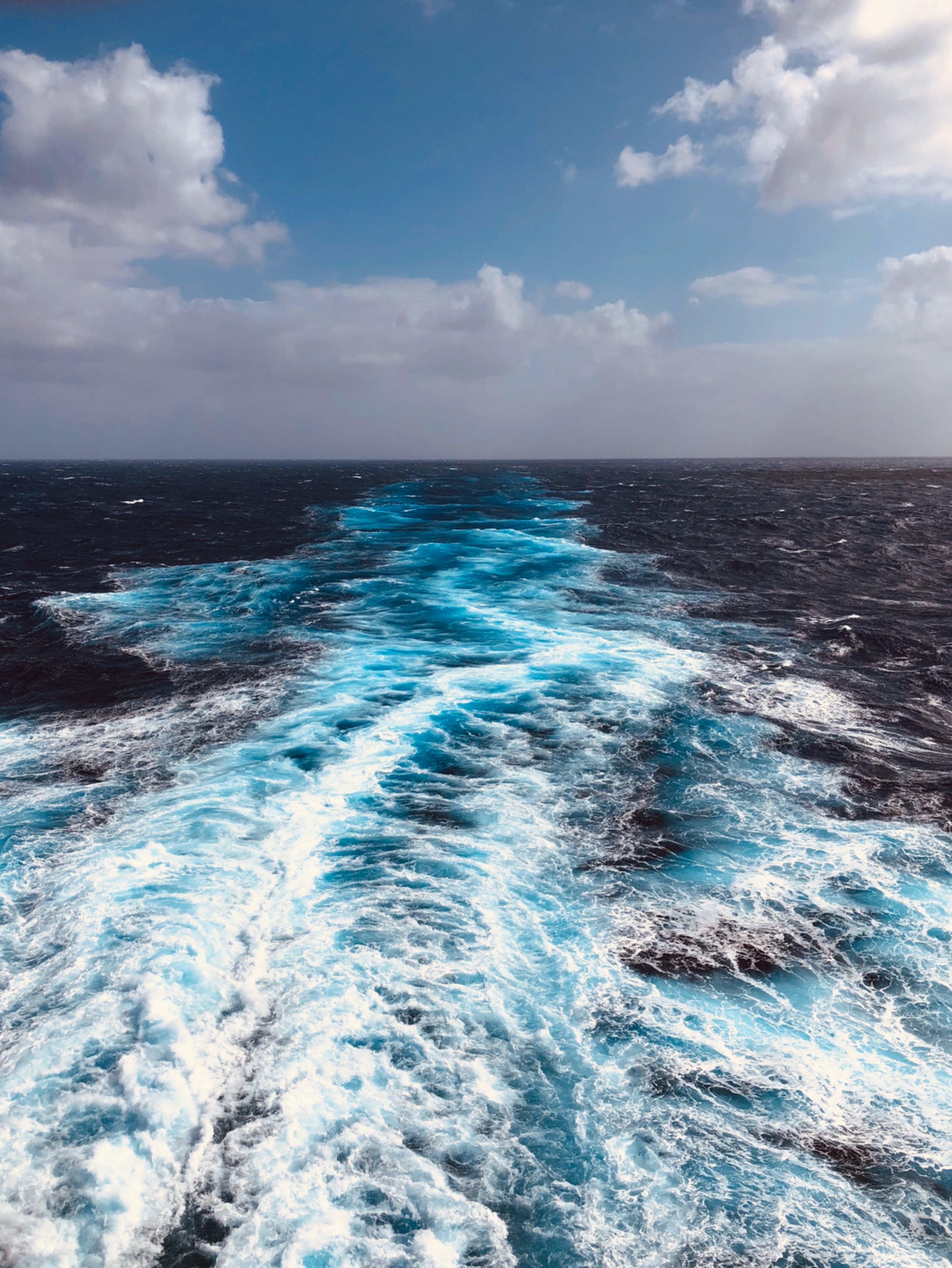 day71～ "珊瑚海coral sea·九番" 雨中画只小猪猪