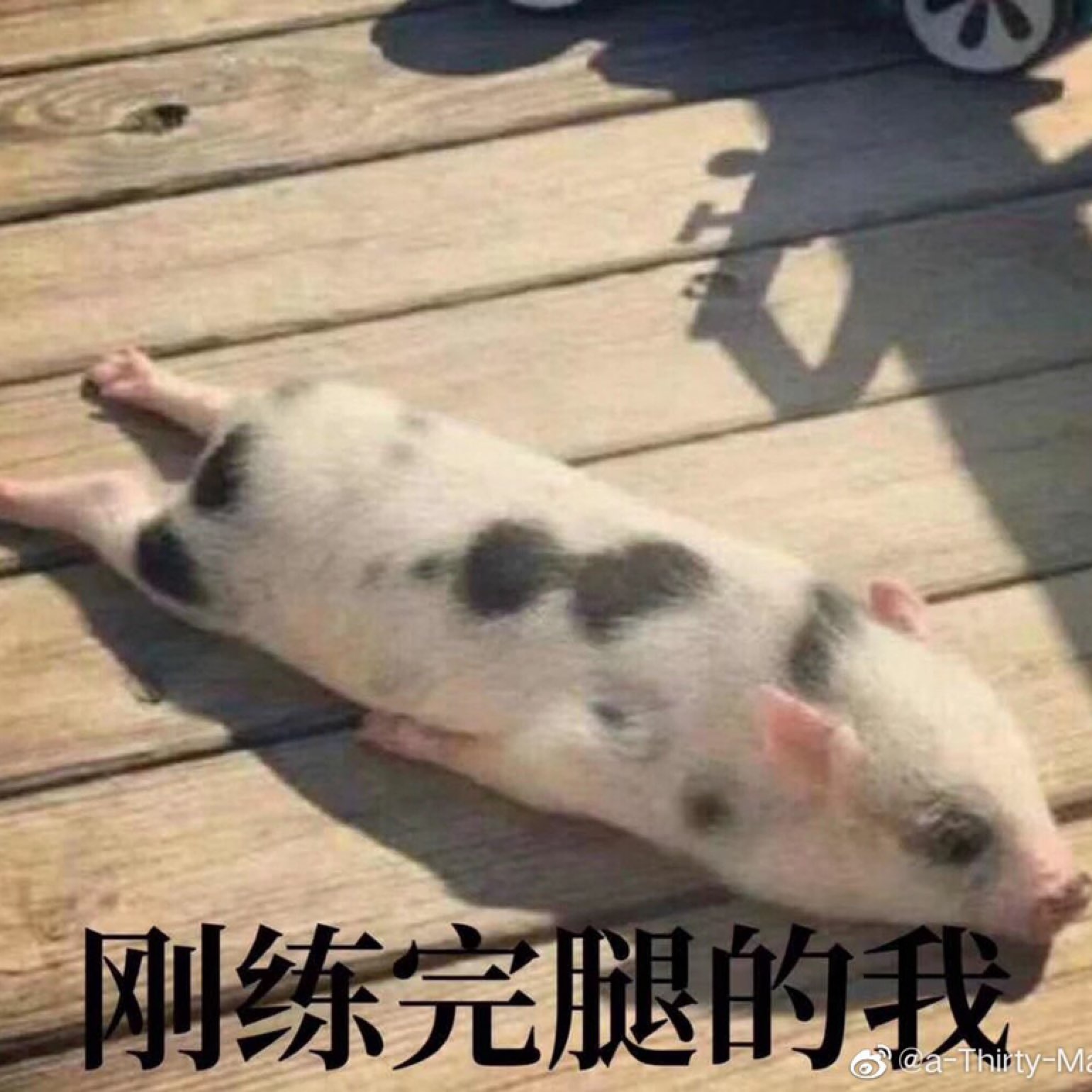 练腿一时爽,练完床上躺 其实练腿的好处还是很多的 1腿部训练刺激睾酮