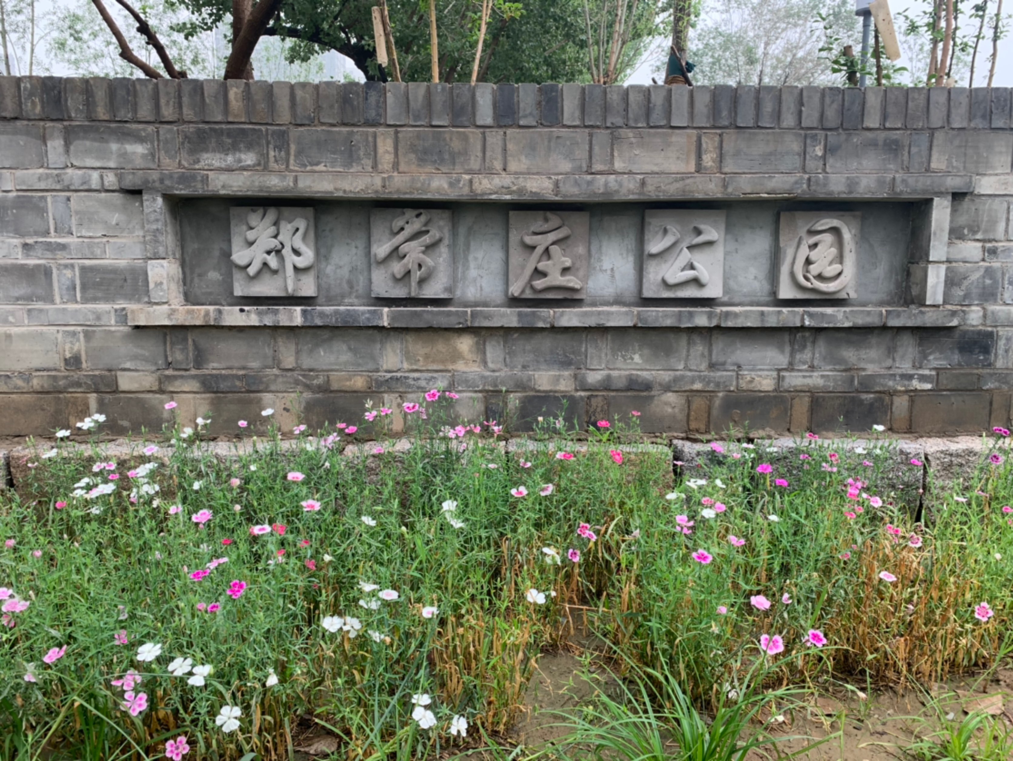 03公里, 26分27秒 第一次白天在小公园跑步[肌肉][肌肉][肌肉]