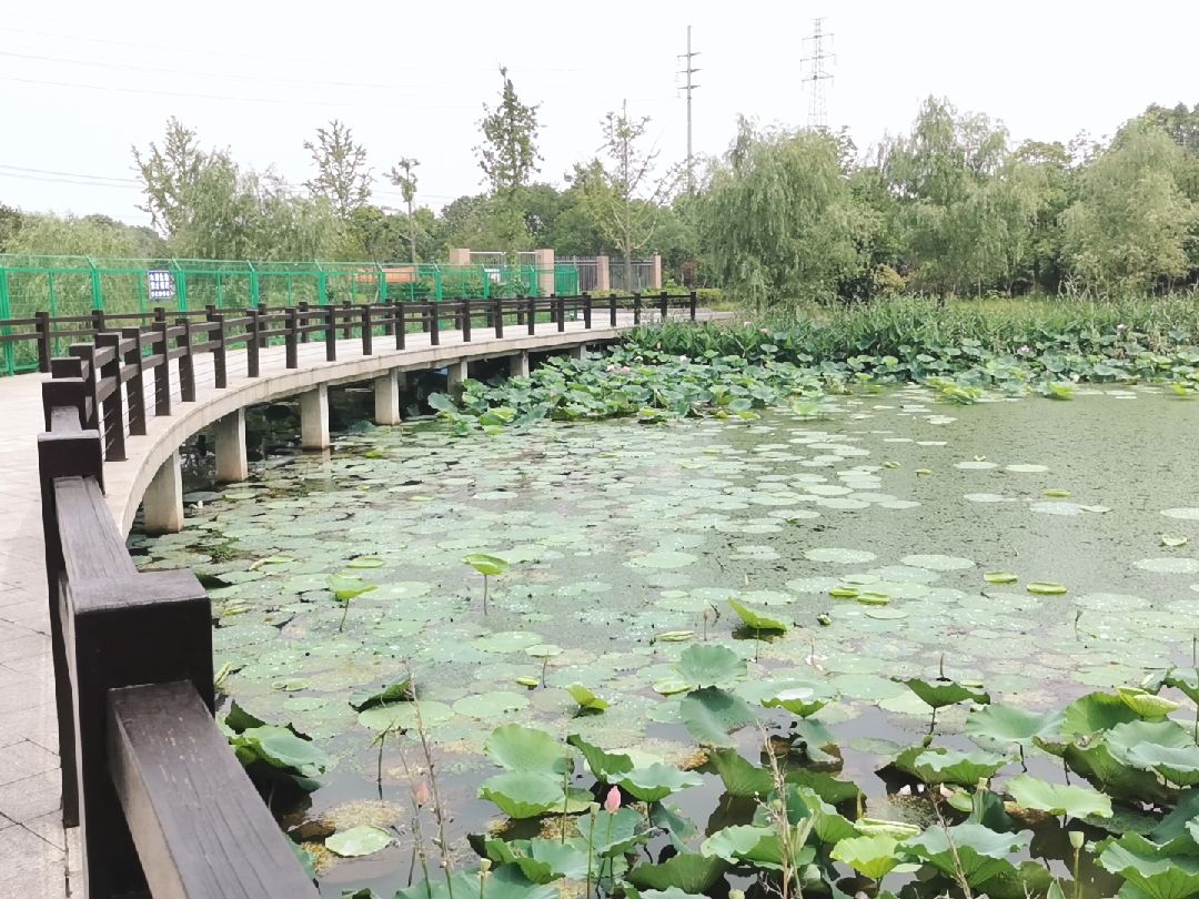 南通市,老洪港湿地公园
