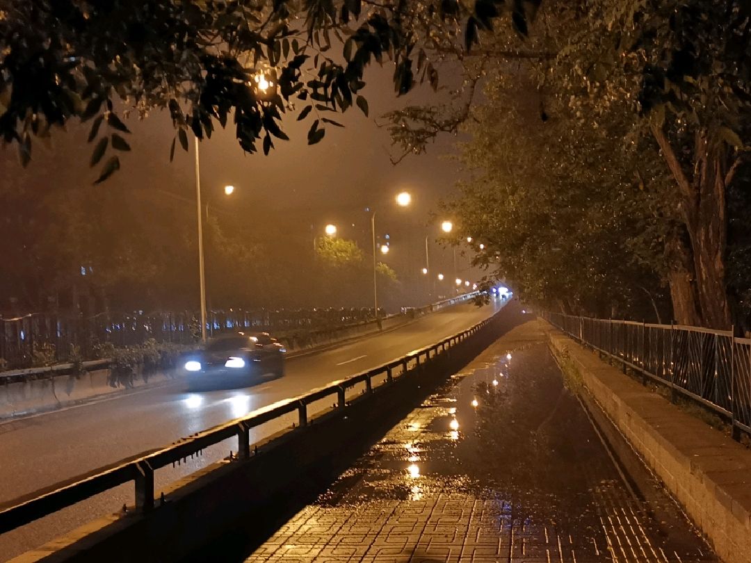 雨后夜晚慢跑,空气湿润,花木清香_keep