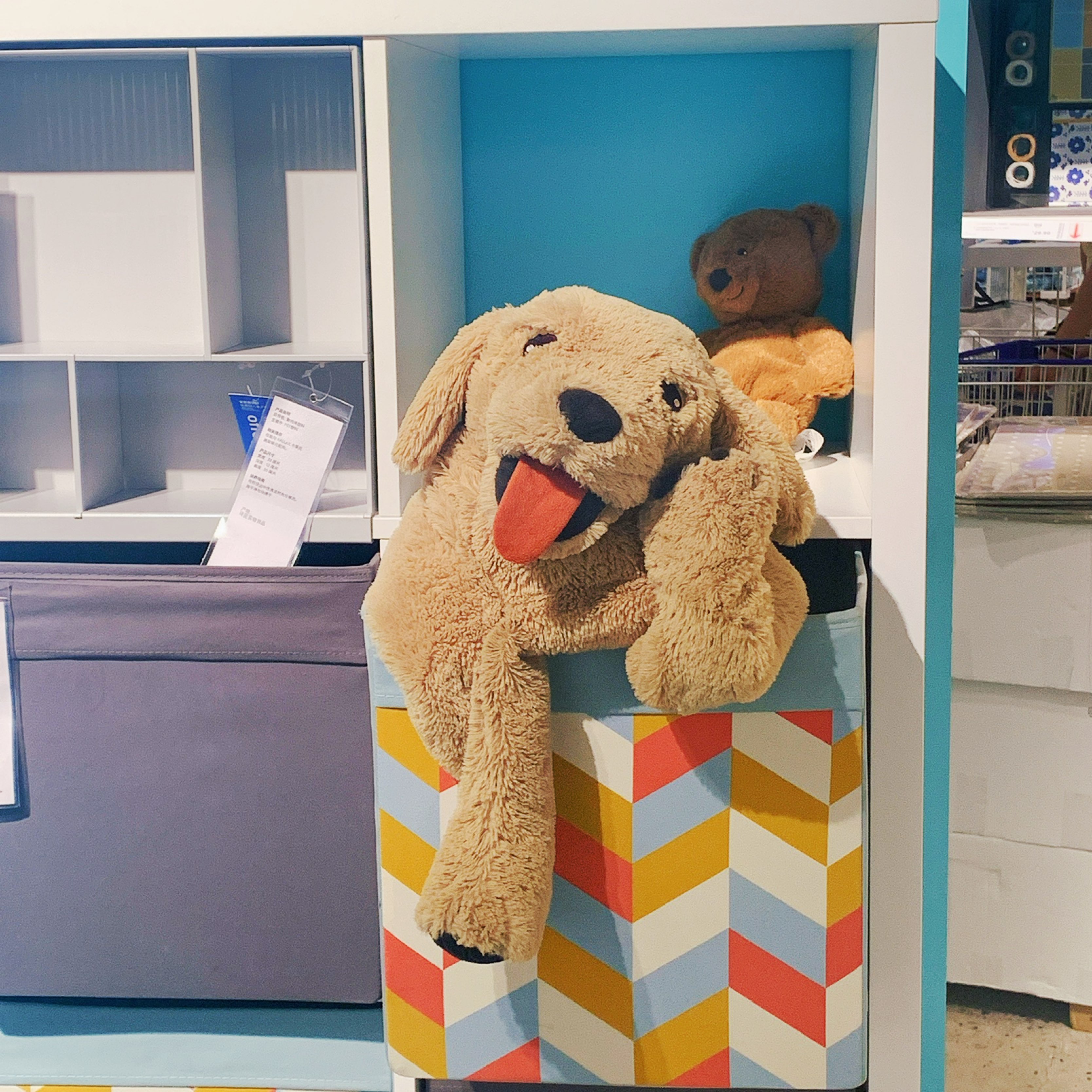 饭后一组,较容易哈 在宜家逛到的一只小狗玩偶,也不知道被谁摆出了