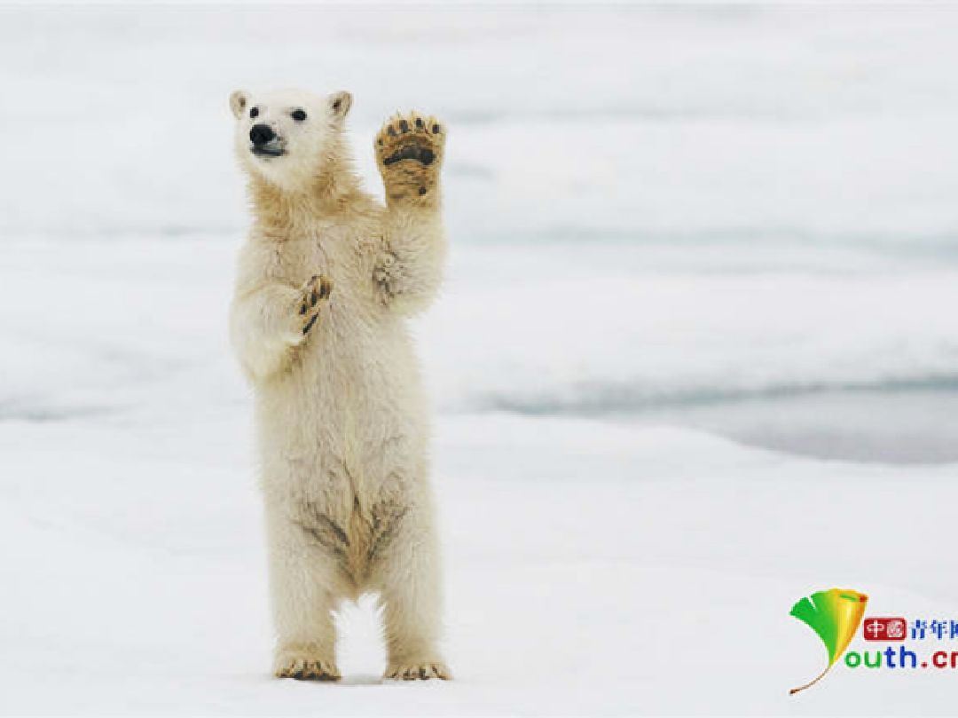  html lang="zh-hans" style="font