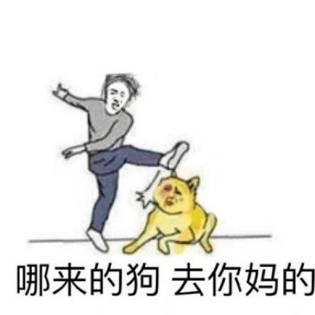 精彩动态
