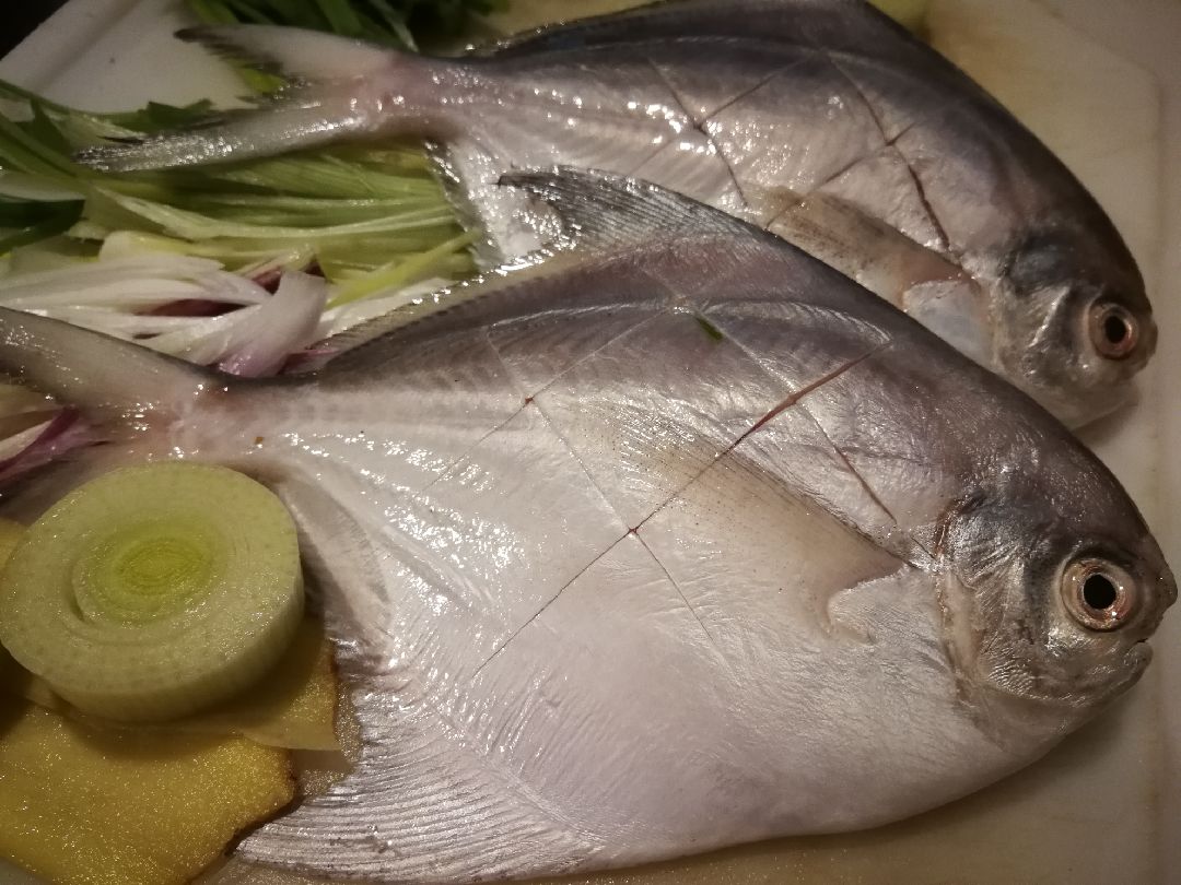 大马食堂凉瓜闷鲳鱼白鲳鱼 平鱼 是比较容易料理的鱼类 刺少肉嫩 身体扁平 烹煮易熟 6 7月正是鲳鱼品质最好的时候 于是 Keep