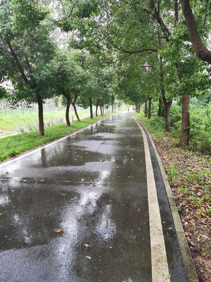 不提雨怎么能描述雨很大(不提雨,怎么描写雨很大 懂吗?)-第2张图片-鲸幼网