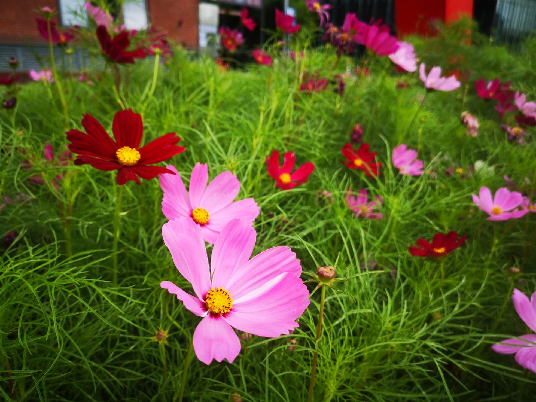 凉爽的天气适合跑步