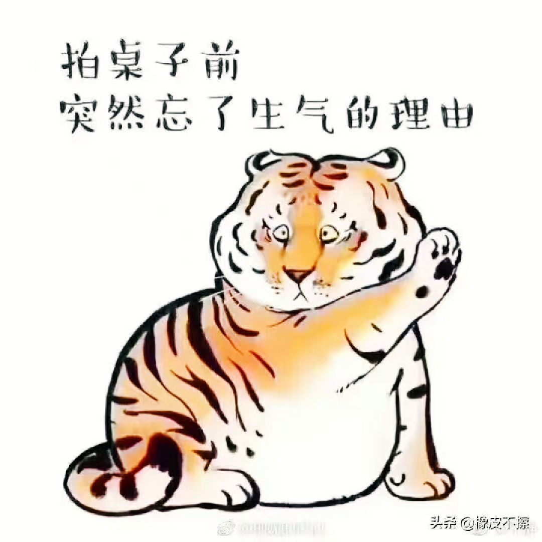 這隻小老虎很可愛我懷疑它是隻母的doge