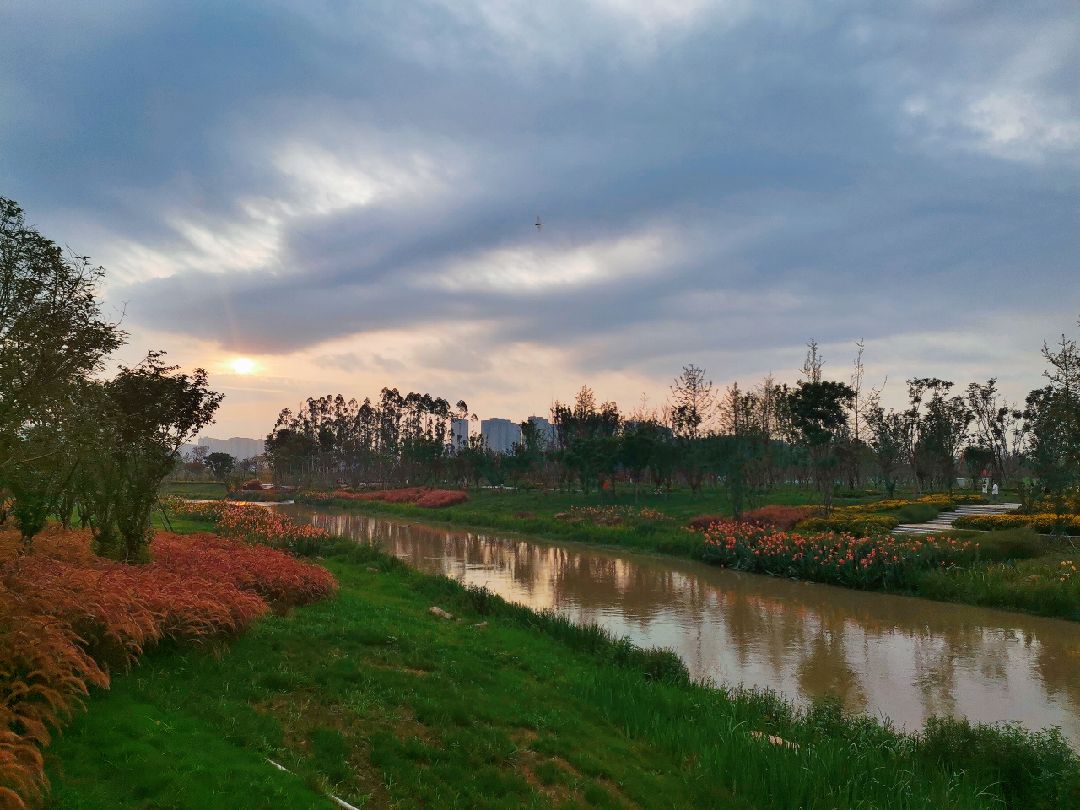 今日份晨跑打卡长流河湿地公园