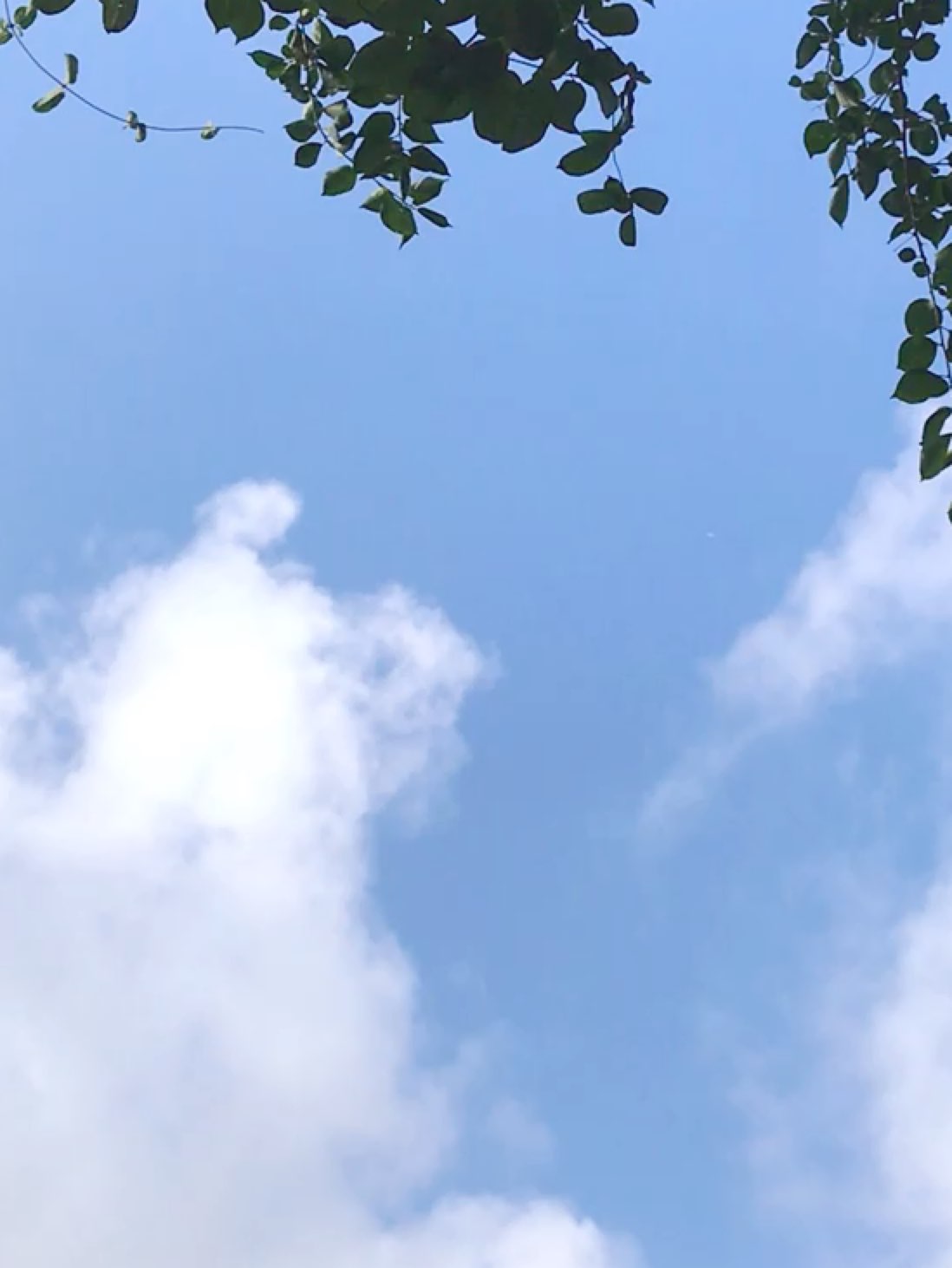 晴空万里汗流浃背微风吹拂爽