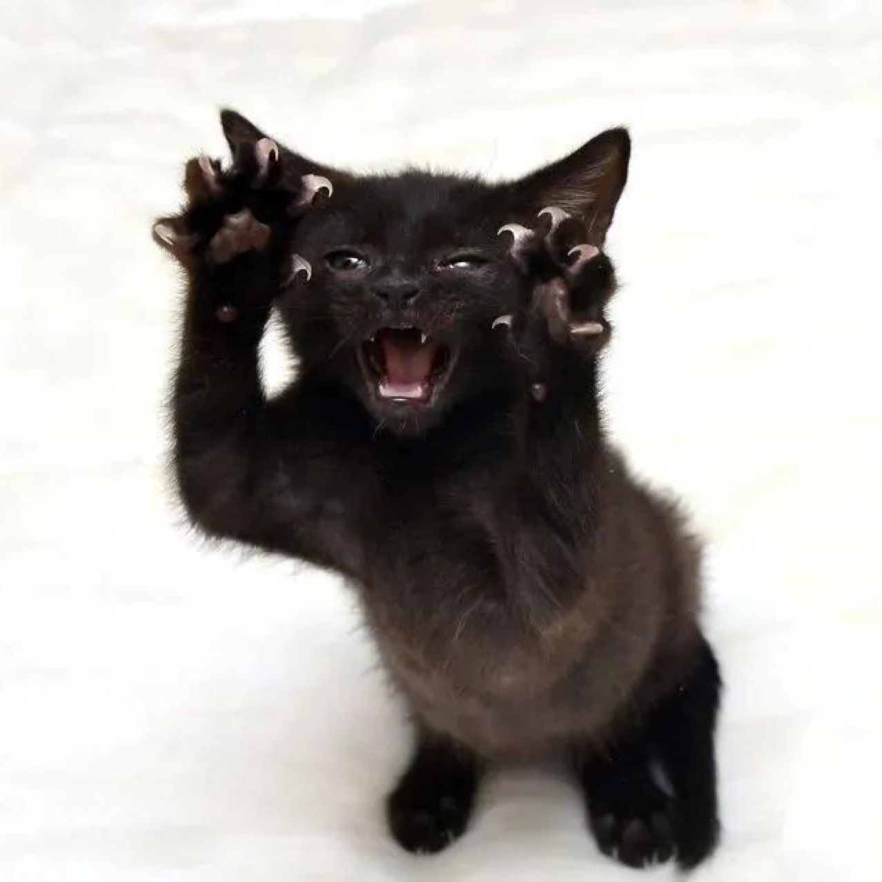 腹卡腹肌撕裂者强化有段日子没练这个,没时间[苦笑]_keep