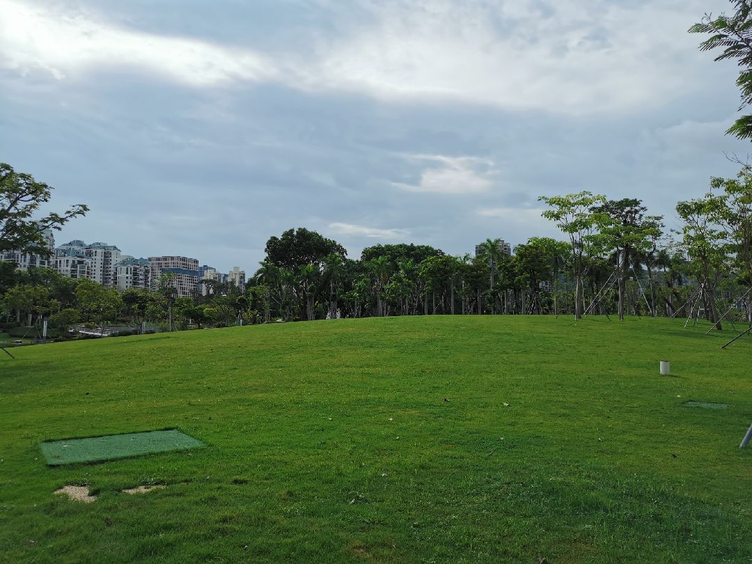 四点钟的香蜜公园台风过后郁郁葱葱好美呀