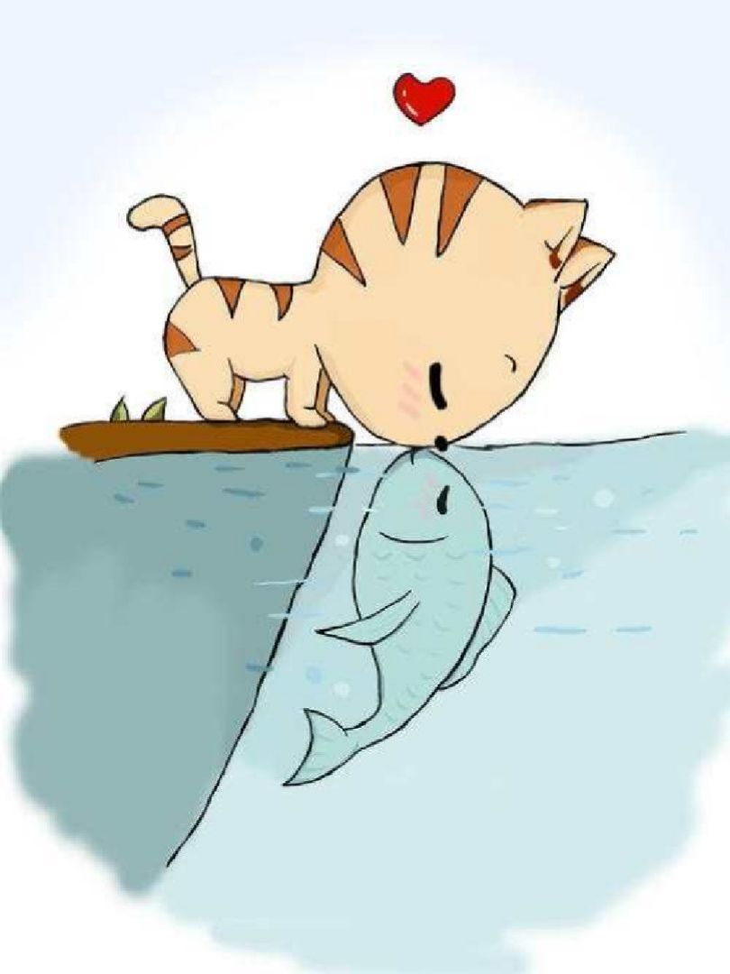 宣传文案: 【当一只猫,爱上一尾鱼】 森林里,有一只猫  湖泊里,有一尾