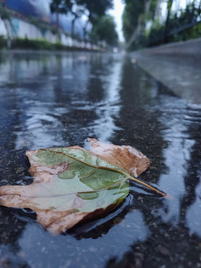 秋雨绵绵