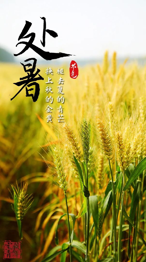 天气凉快了饭前来一组强度稍大的04