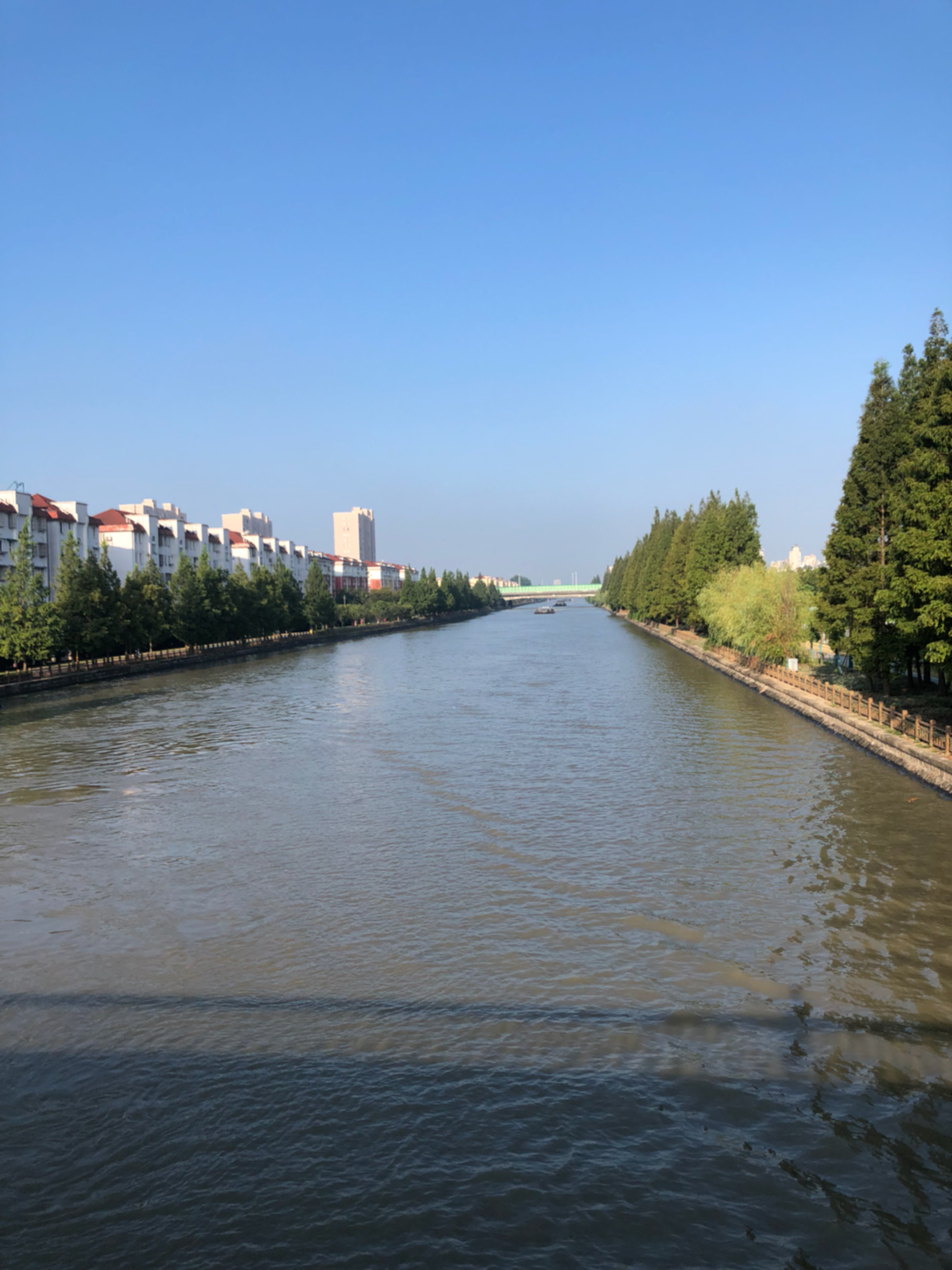 川杨河5公里,步频166